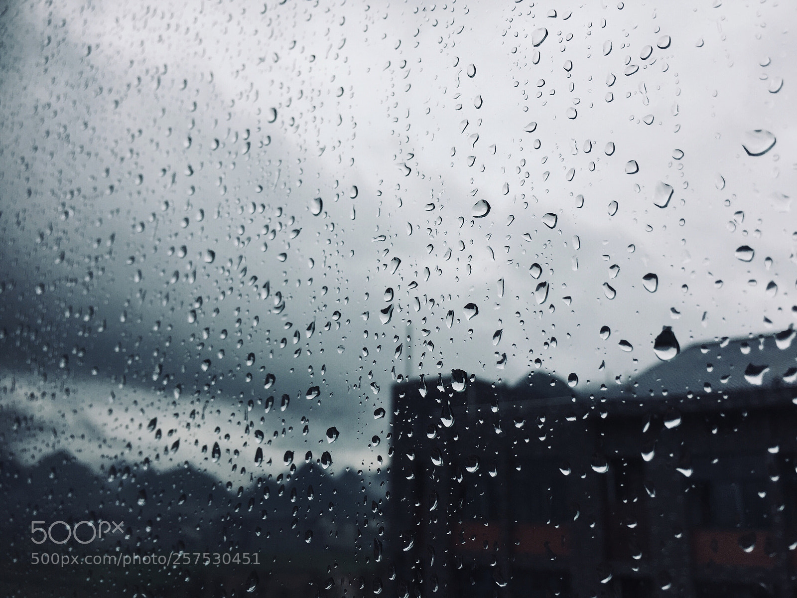 Apple iPhone 6 sample photo. Untitled photography