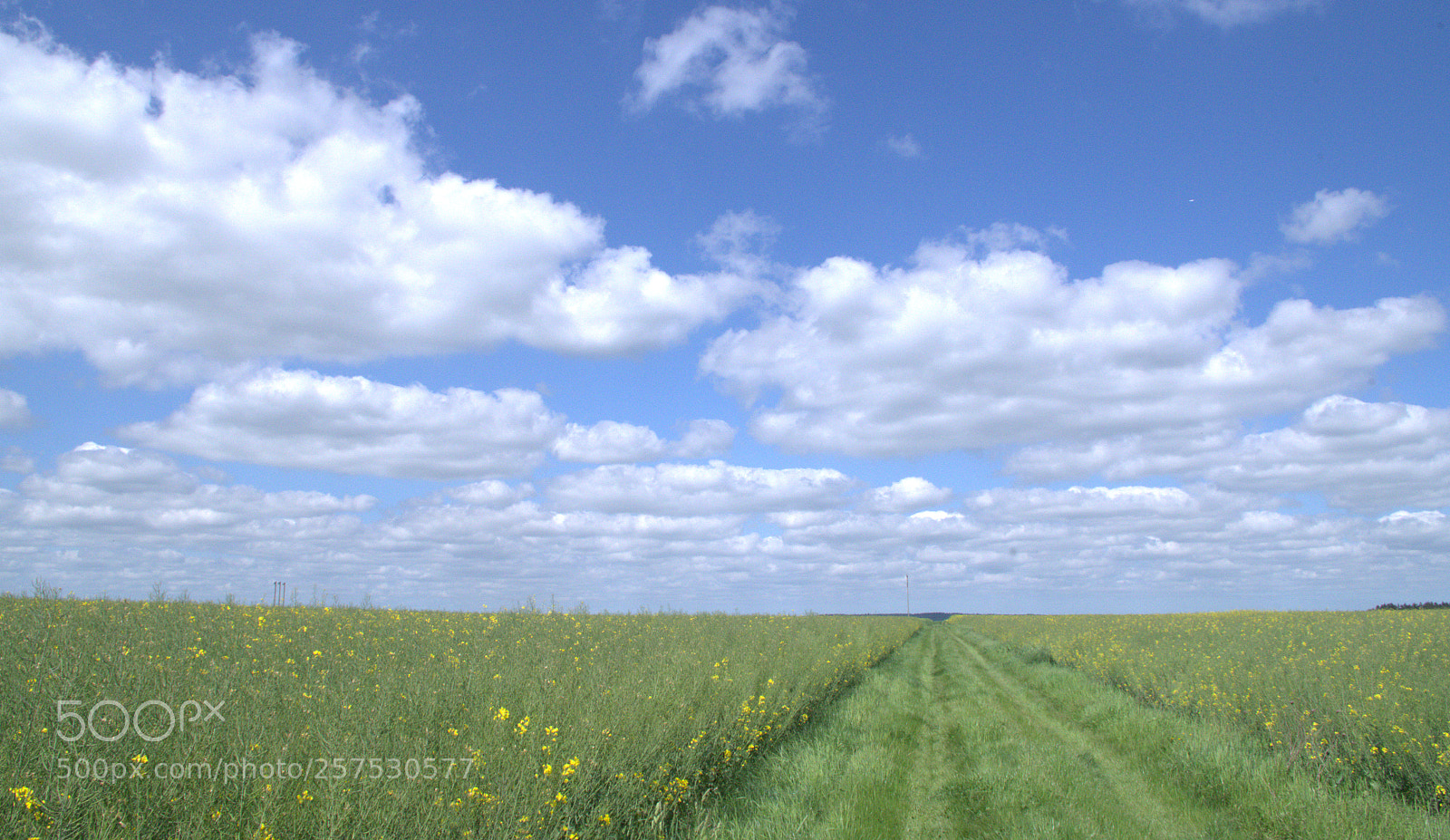 Pentax K-50 sample photo. Beauce landscape photography