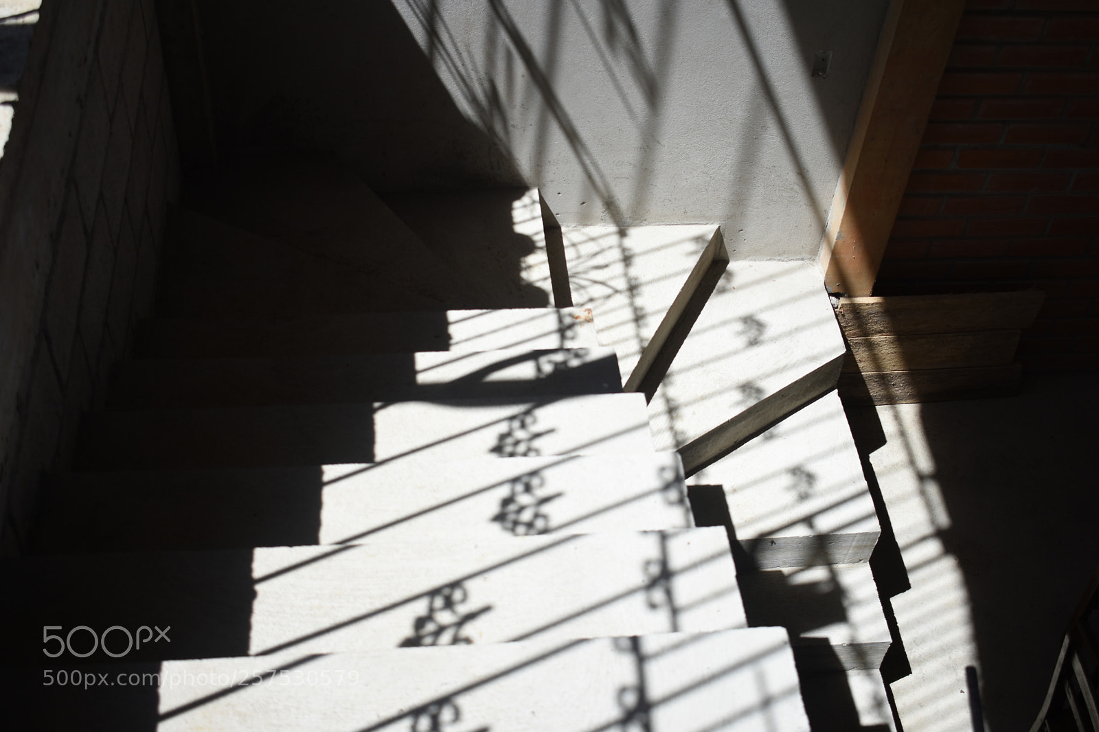 Nikon D3400 sample photo. Shadow of you. photography
