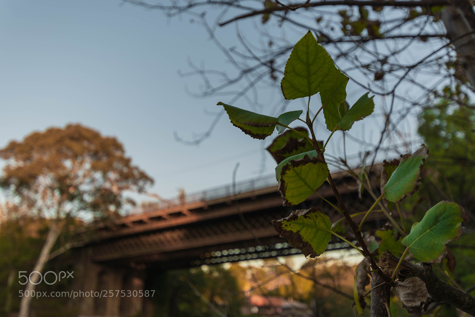 Nikon D5600 sample photo. Under the bridge photography