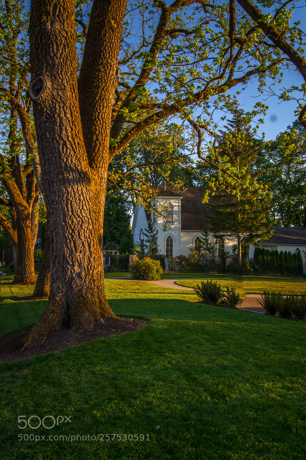 Sony SLT-A77 sample photo. Usa photography
