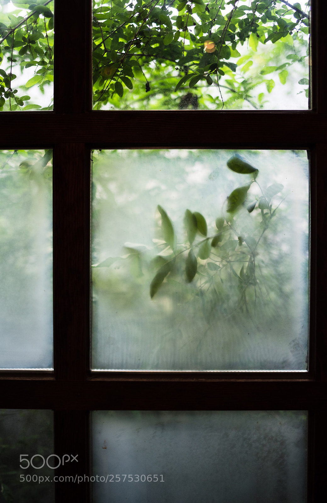 Pentax K-1 sample photo. Untitled photography