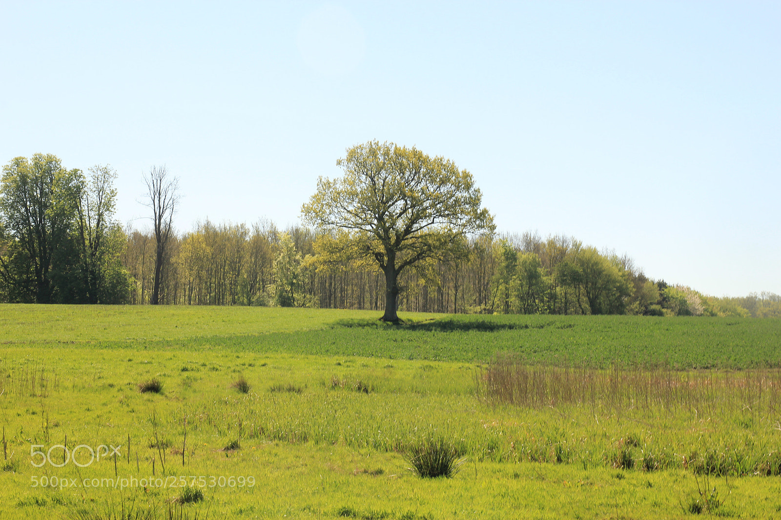 Canon EOS 60D sample photo. Untitled photography