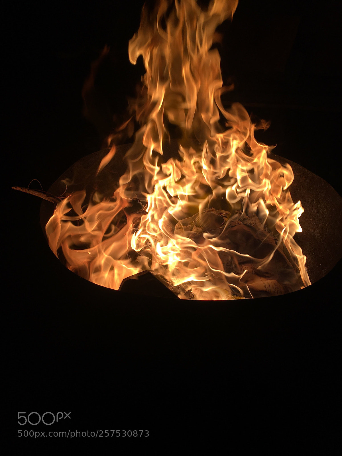 Apple iPhone 6s sample photo. Untitled photography