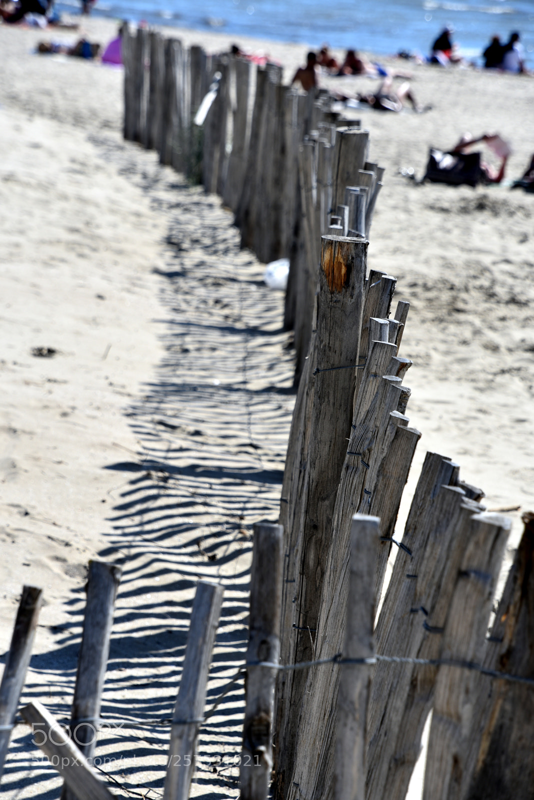 Nikon D750 sample photo. On the beach photography
