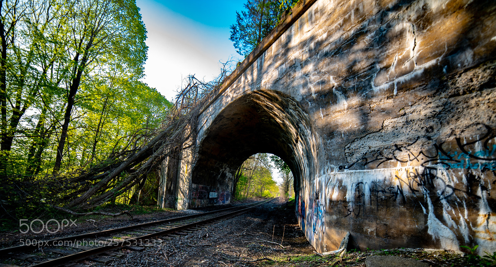 Nikon D750 sample photo. Untitled photography