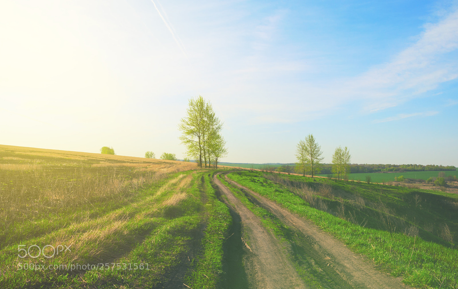 Nikon D5100 sample photo. Springtime photography