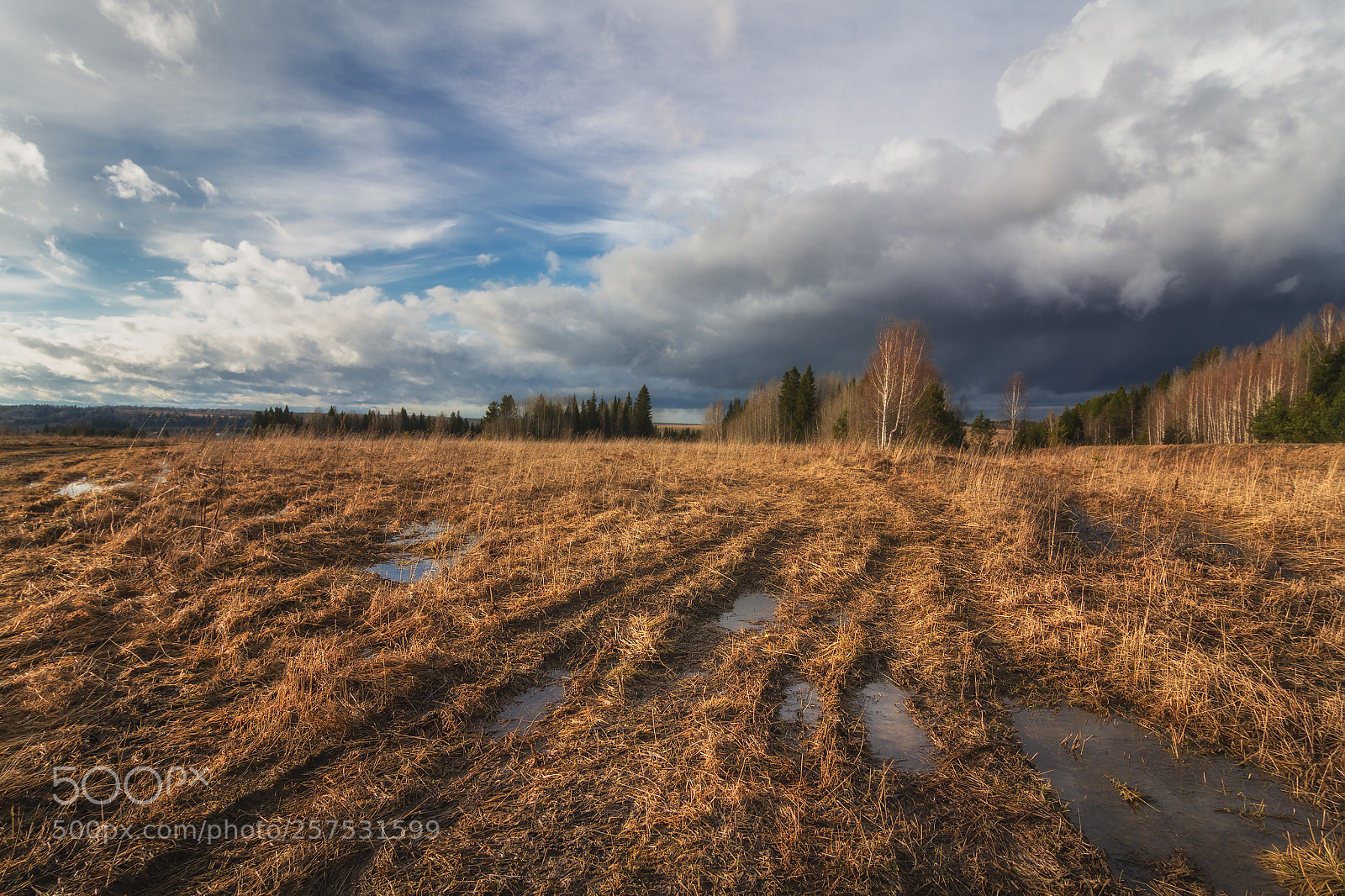 Canon EOS 7D sample photo. Field photography