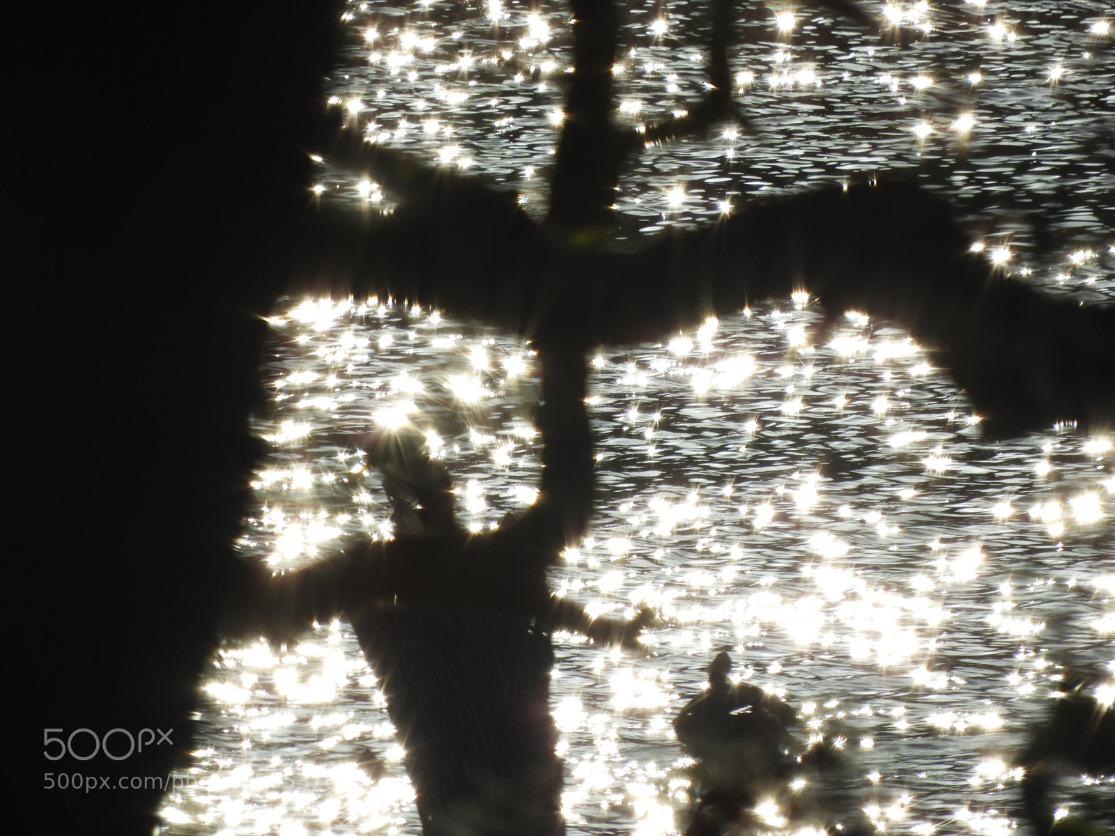 Nikon Coolpix B700 sample photo. Abstract water reflection through photography