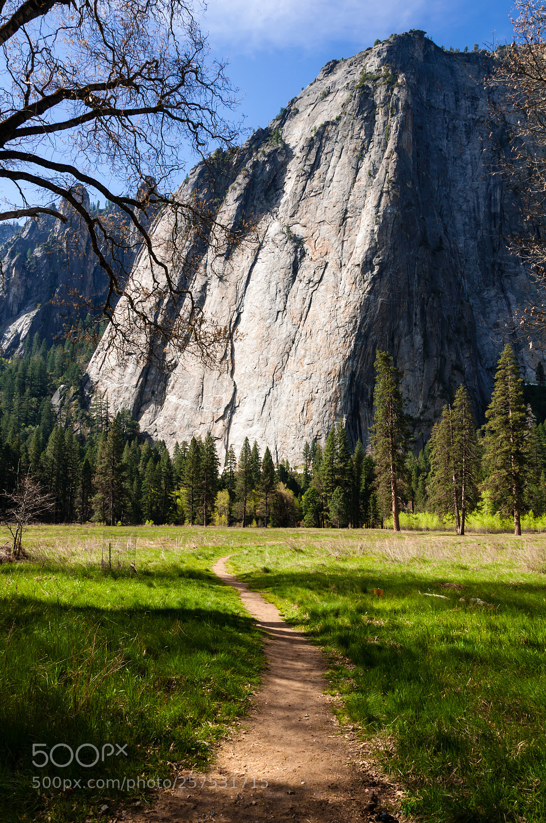 Nikon D90 sample photo. The trail photography