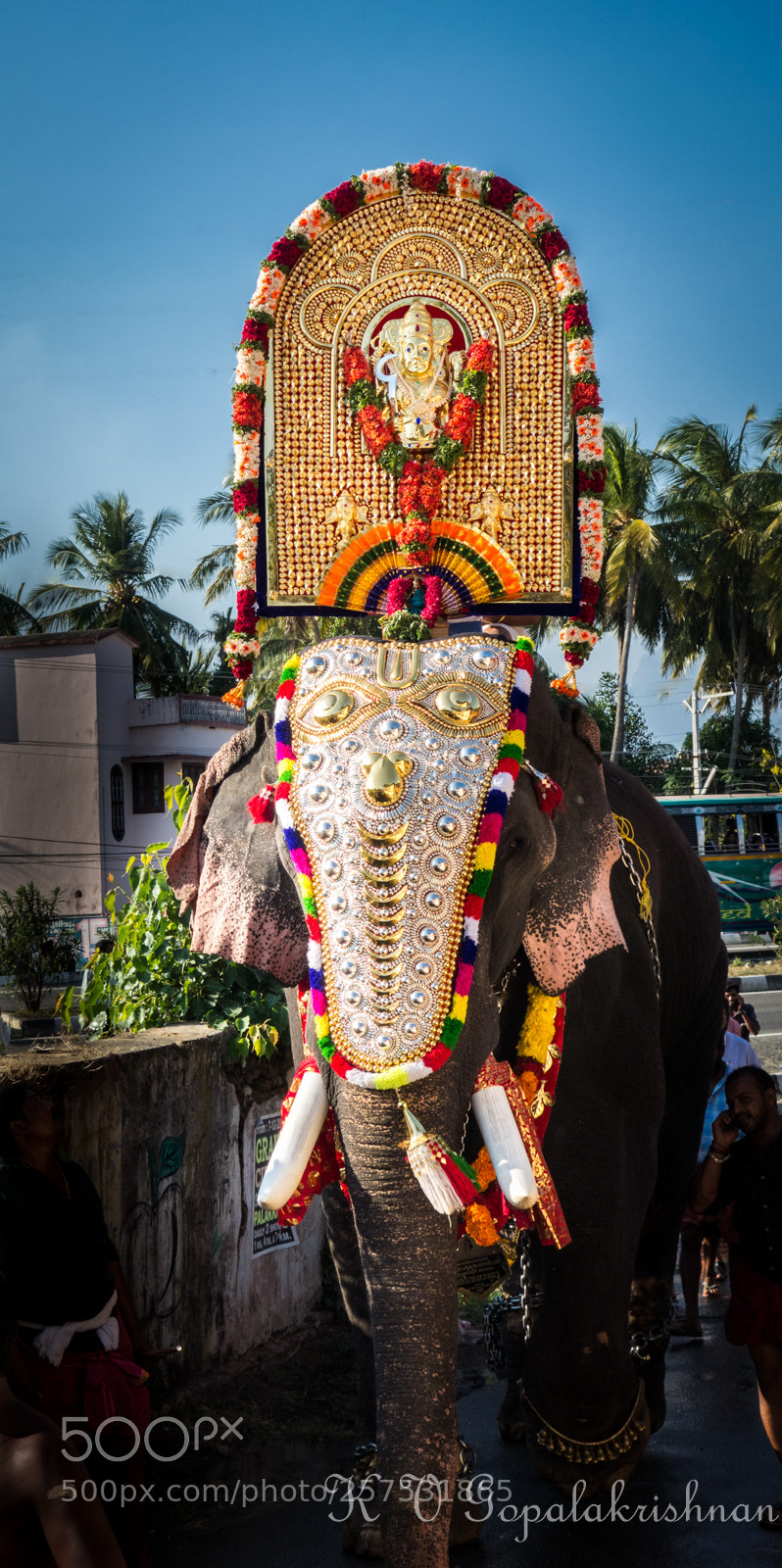 Sony Cyber-shot DSC-RX100 sample photo. Divine procession photography