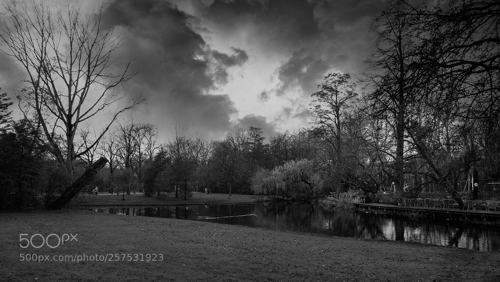 Canon EOS 550D (EOS Rebel T2i / EOS Kiss X4) sample photo. Amsterdam vondelpark b&w photography