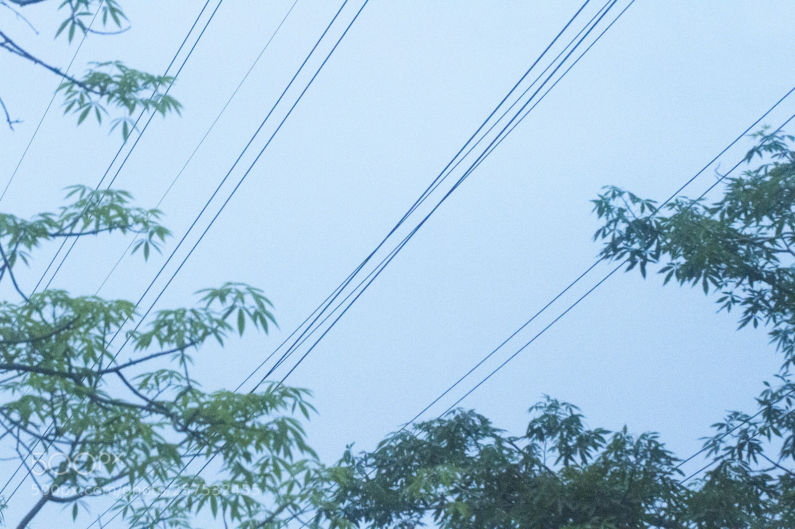 Canon EOS 7D sample photo. Nature and artificial photography