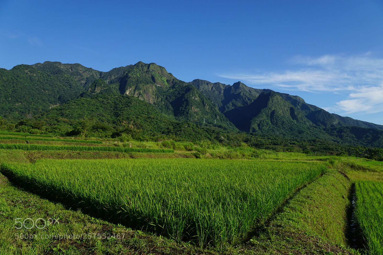 Sony DT 16-50mm F2.8 SSM sample photo. Square scape photography