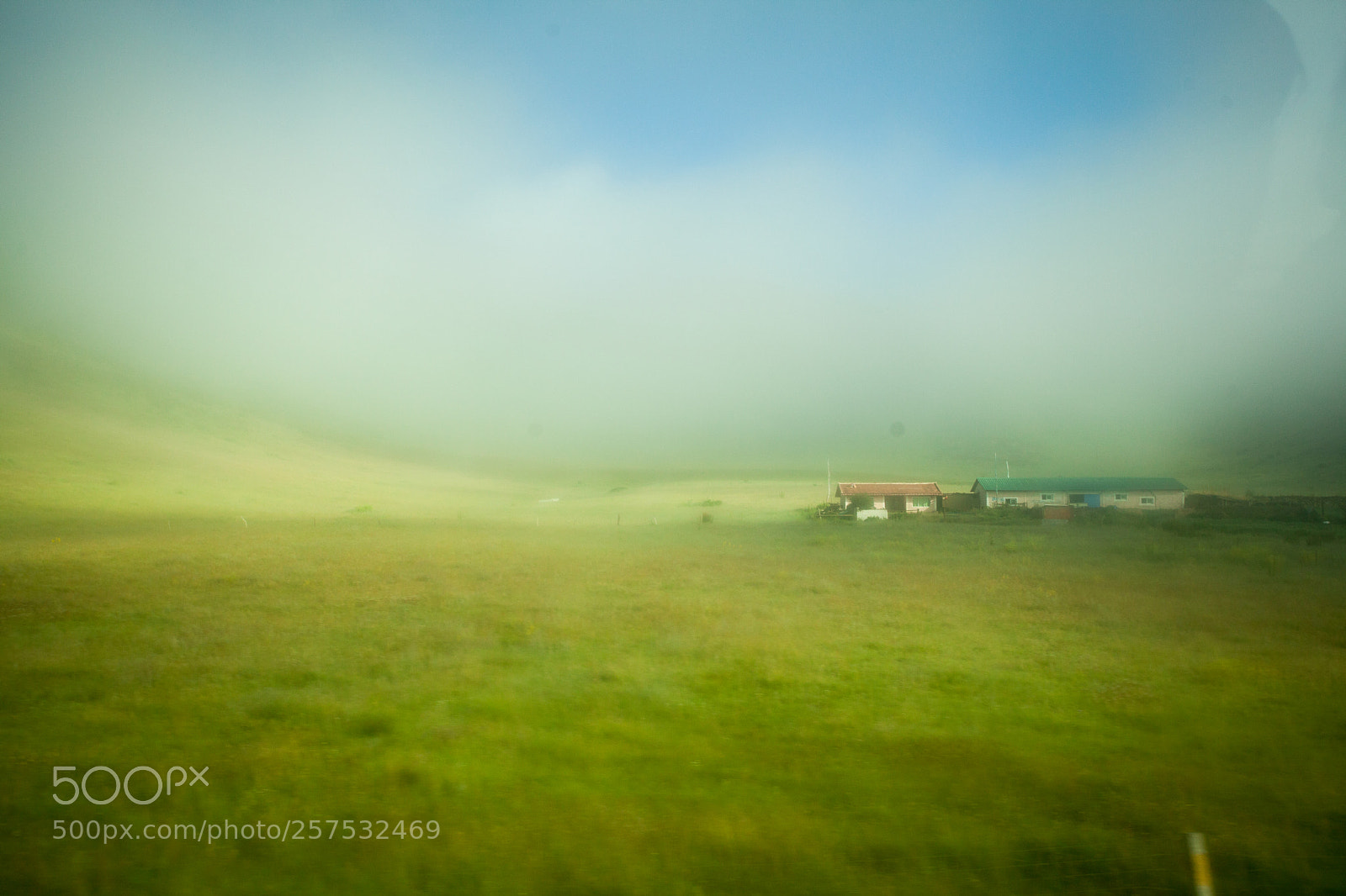 Canon EOS 5D Mark II sample photo. Green dream photography