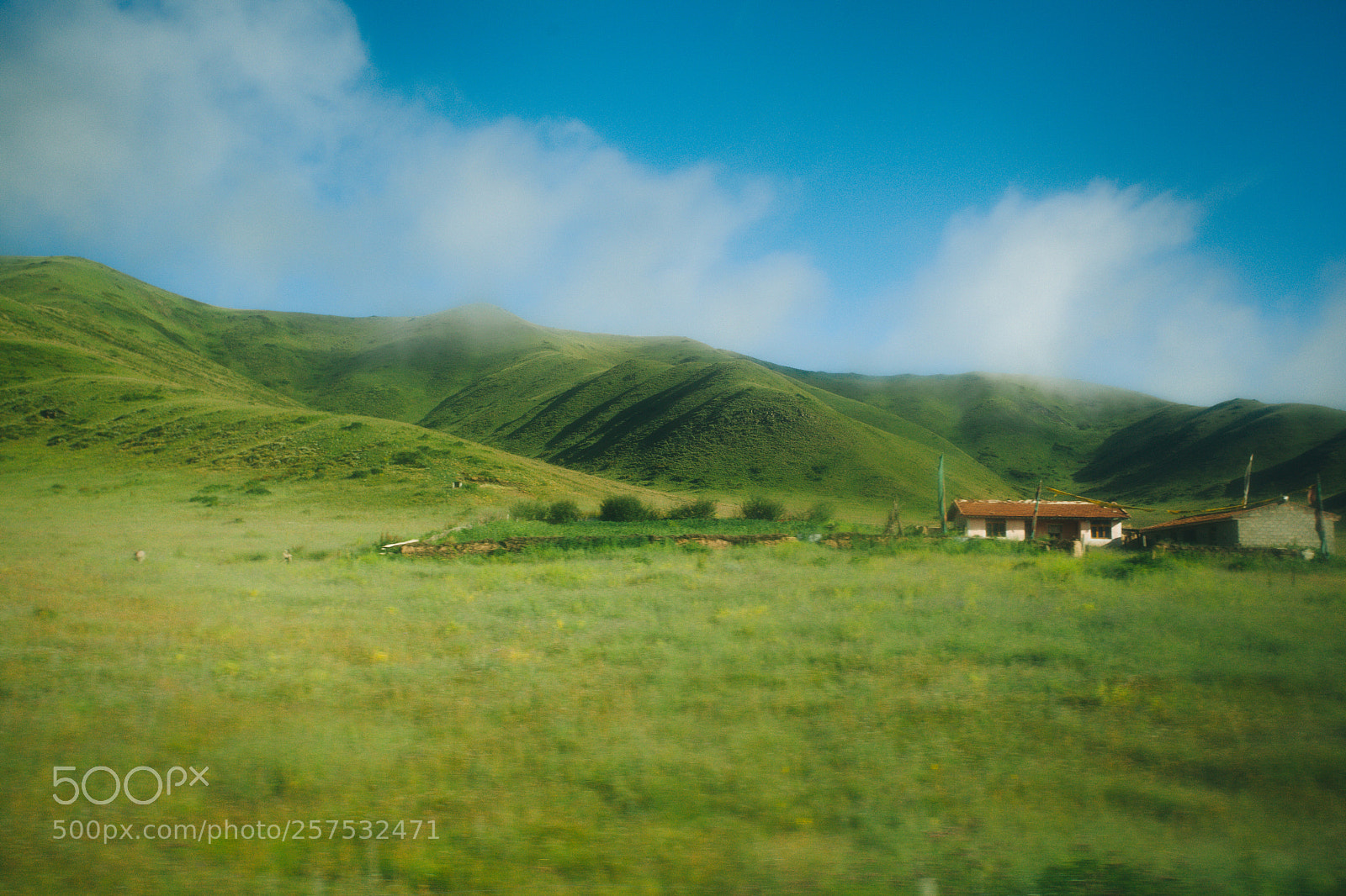 Canon EOS 5D Mark II sample photo. Green dream photography