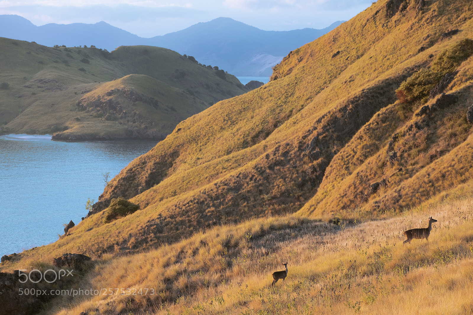 Fujifilm X-T2 sample photo. Padar island photography