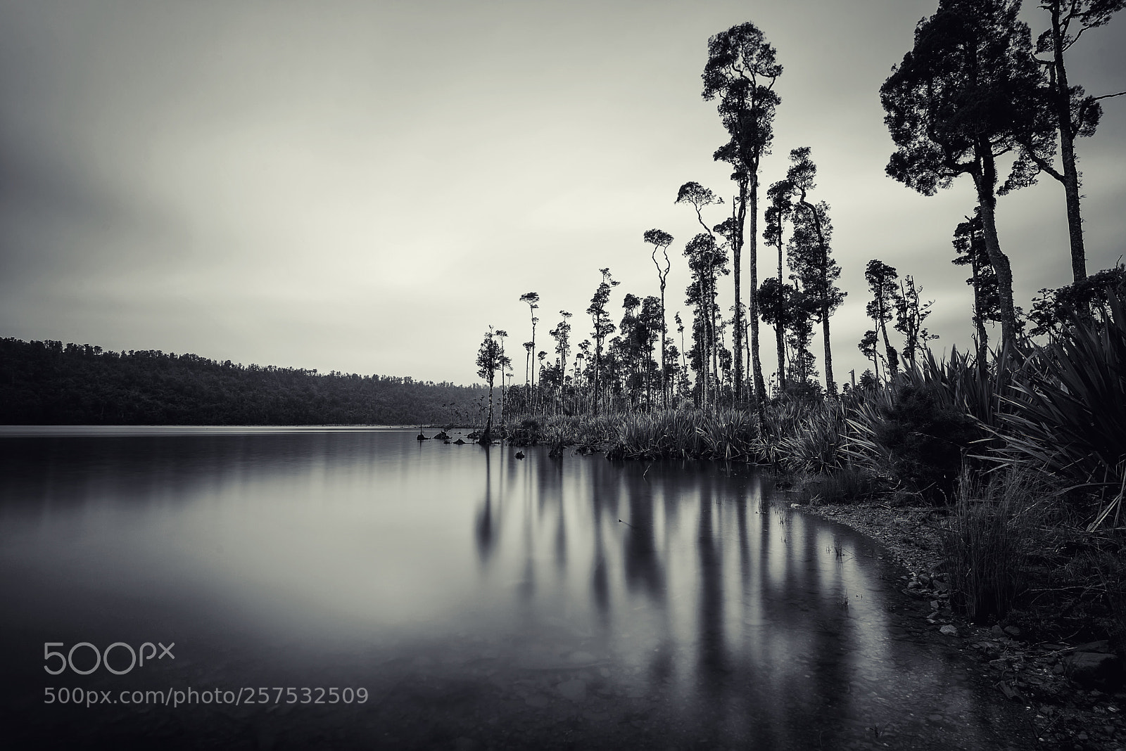 Nikon D610 sample photo. Stillness of the moment photography