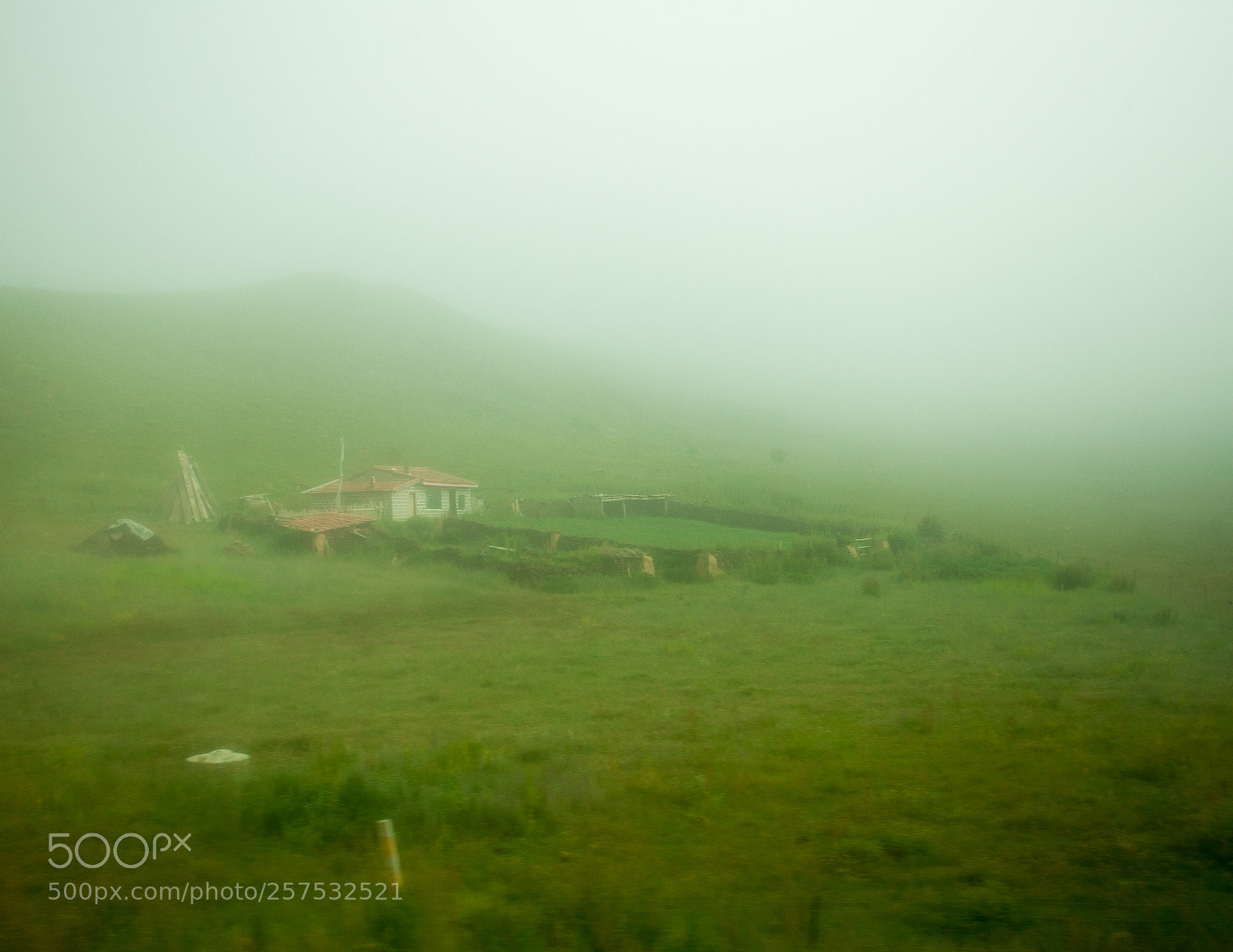 Canon EOS 5D Mark II sample photo. Green dream photography