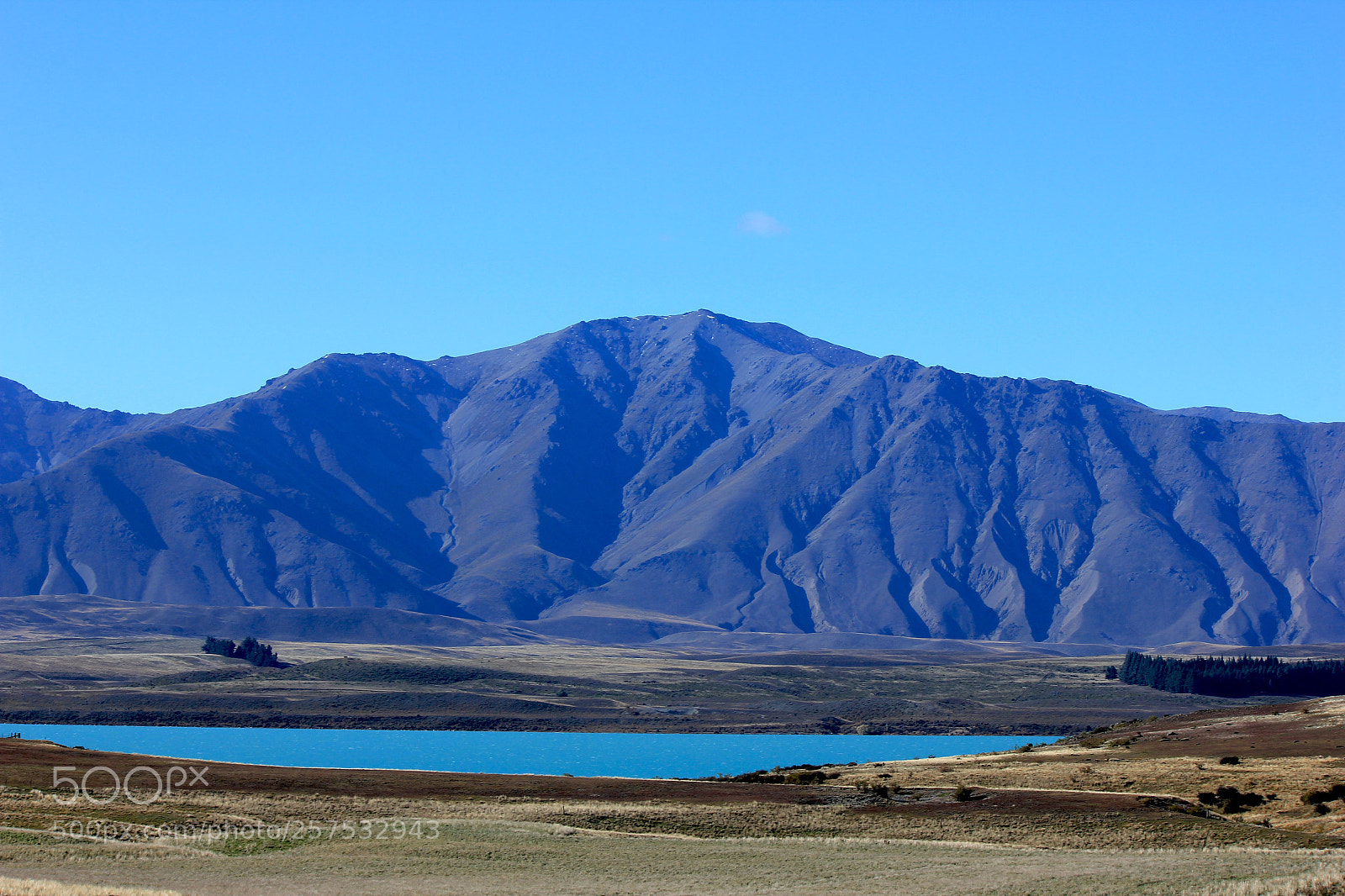 Canon EOS 550D (EOS Rebel T2i / EOS Kiss X4) sample photo. Mackenzie country nz photography