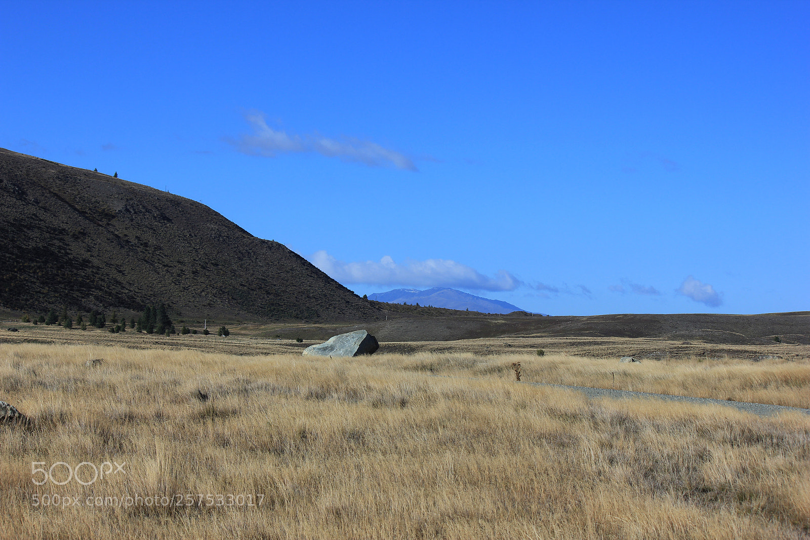 Canon EOS 550D (EOS Rebel T2i / EOS Kiss X4) sample photo. Mackenzie country nz photography