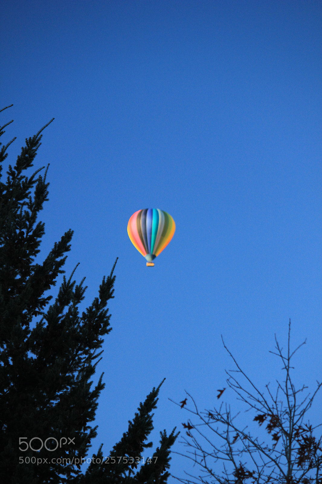 Canon EOS 550D (EOS Rebel T2i / EOS Kiss X4) sample photo. Arrowtown nz early morning photography