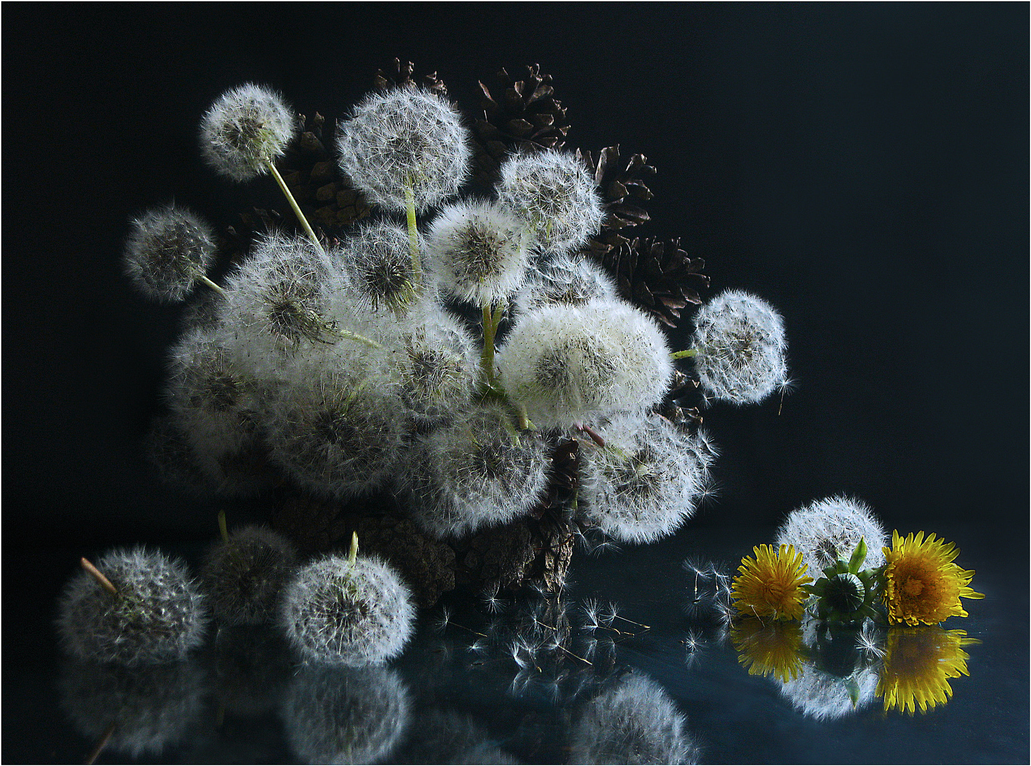 Canon PowerShot A3000 IS sample photo. Fluffy basket photography