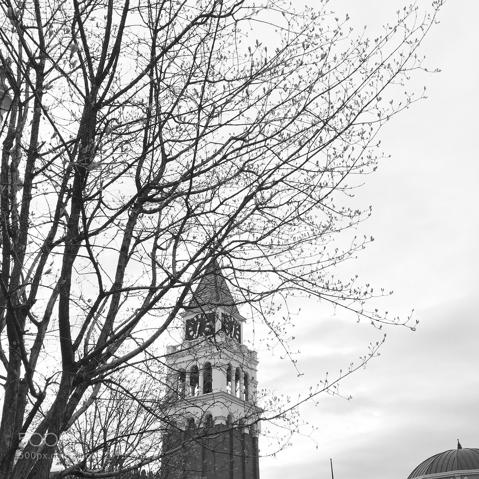 Apple iPhone 6 sample photo. Untitled photography