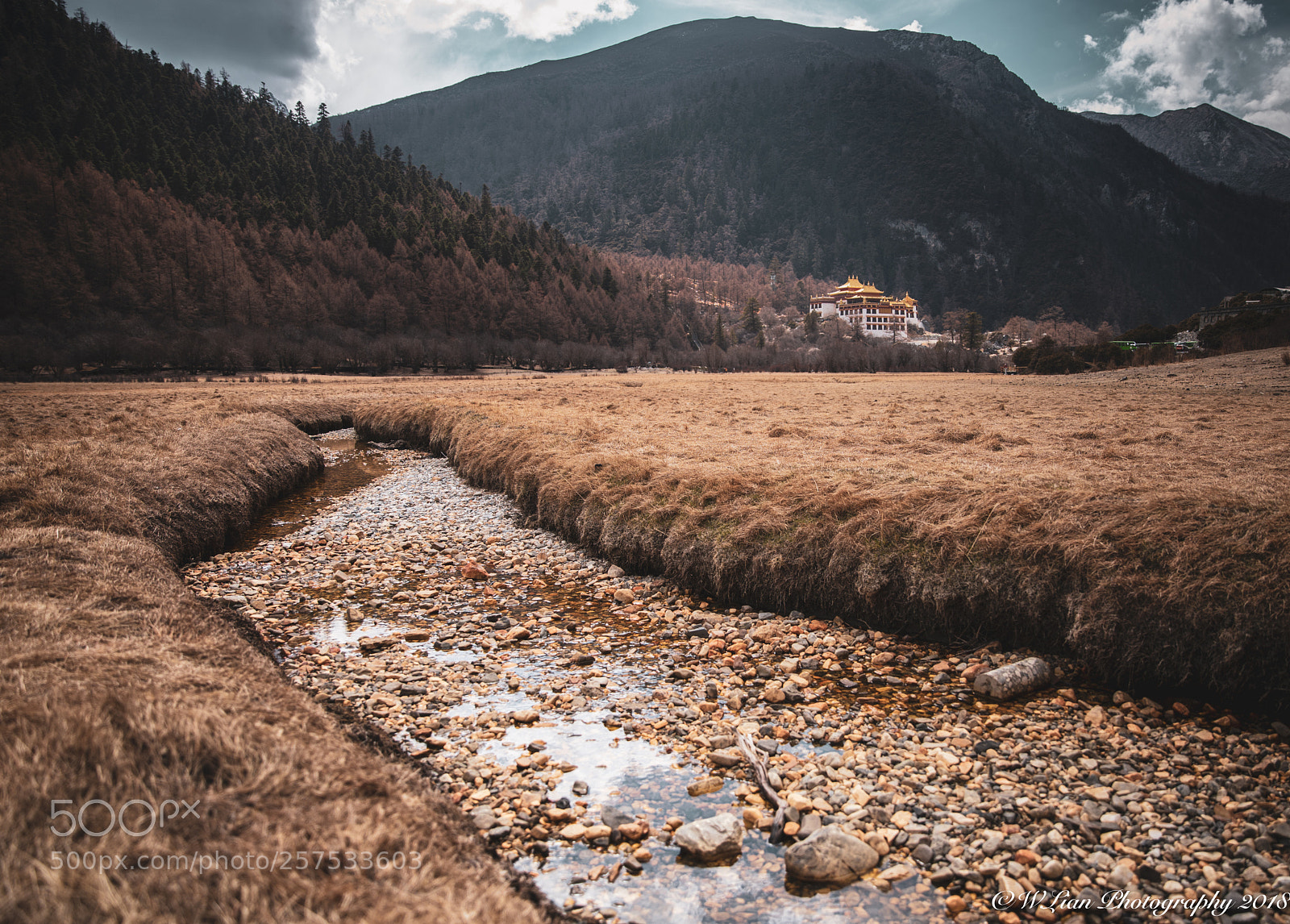 Canon EOS 5D Mark IV sample photo. Daocheng yading photography