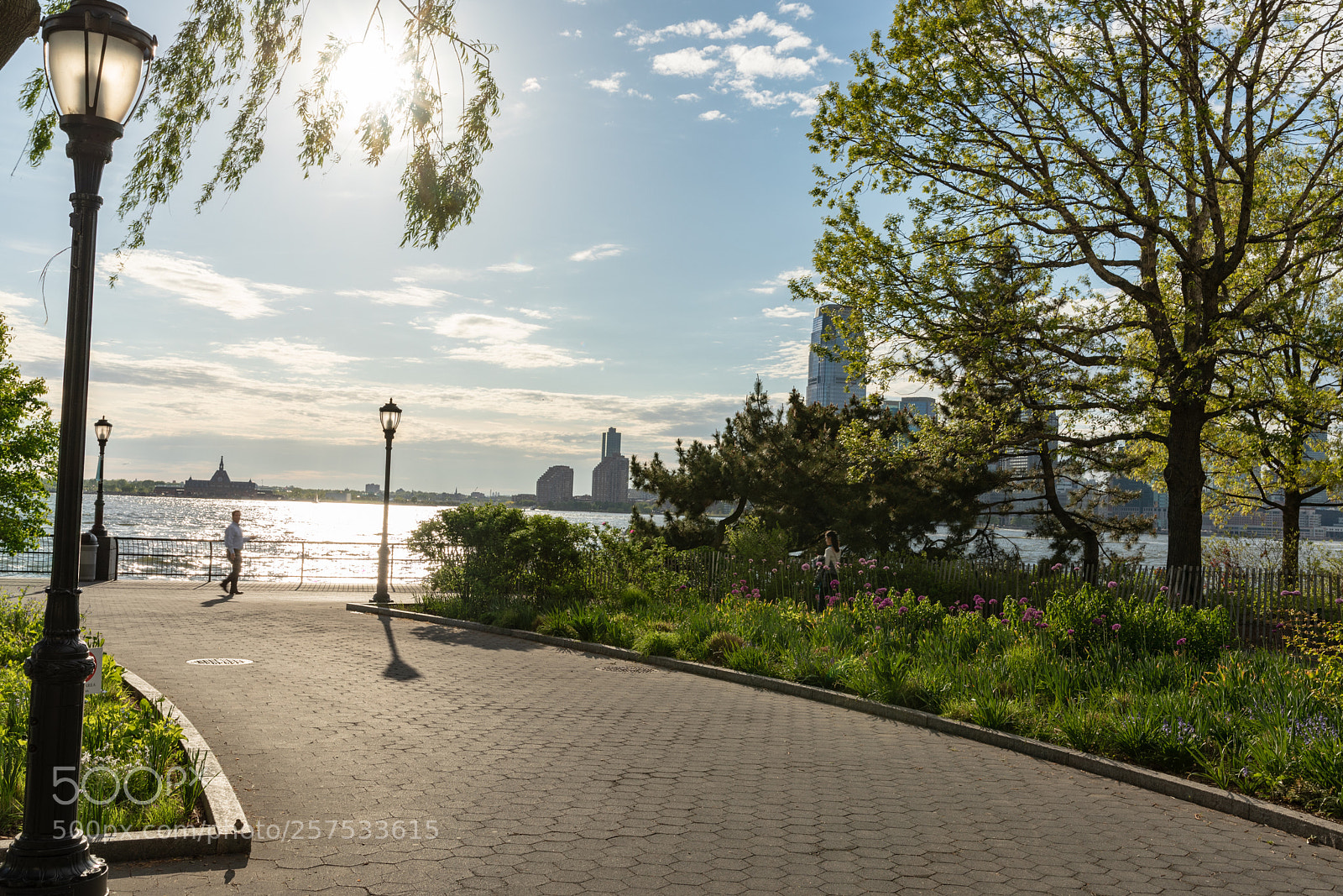 Canon EOS 5D Mark IV sample photo. Afternoon stroll photography