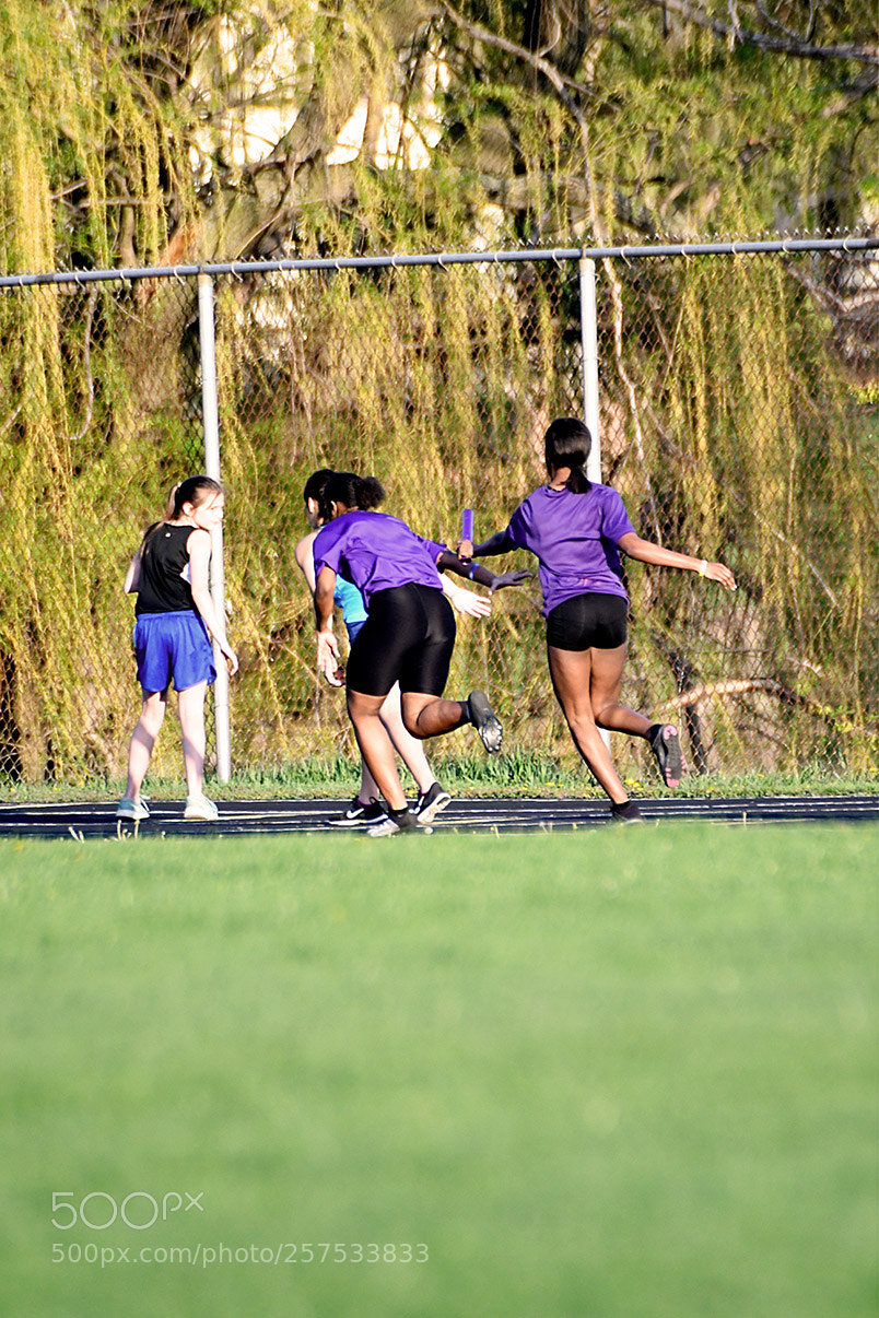 Nikon D500 sample photo. 5-7_0852.jpg photography