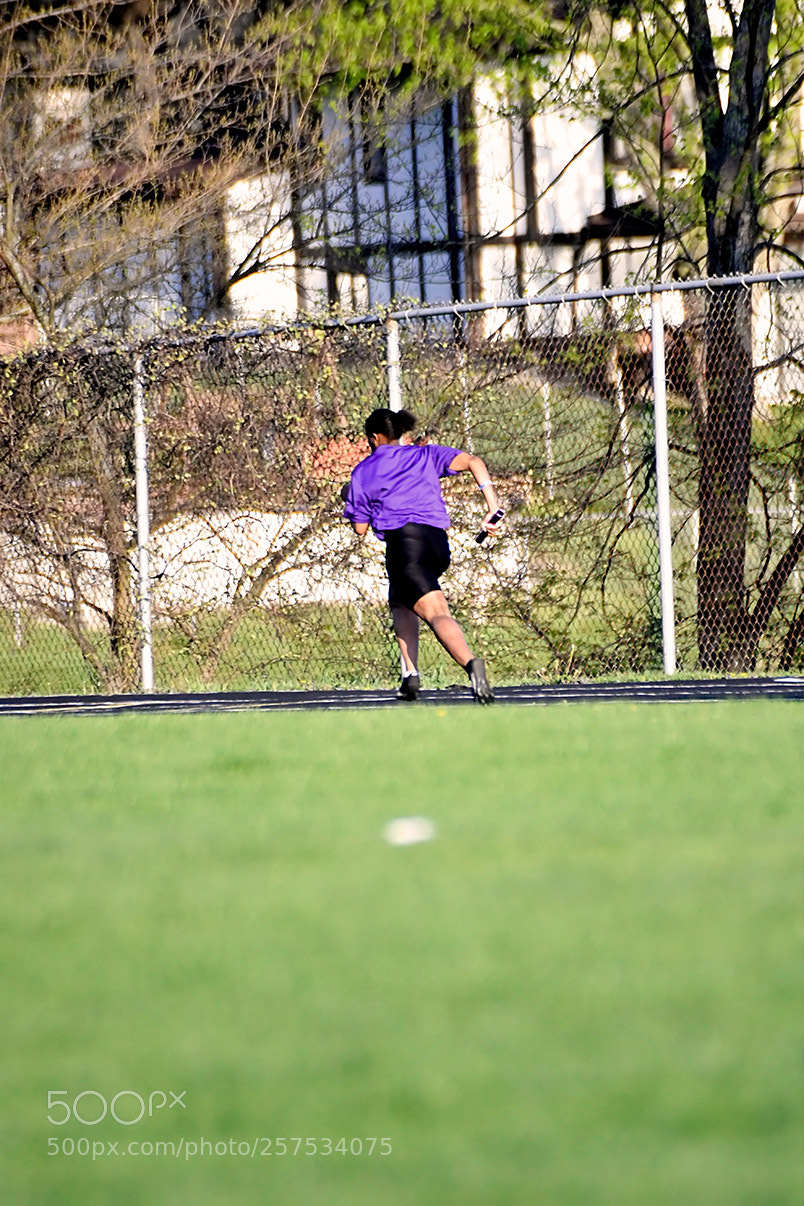 Nikon D500 sample photo. 5-7_0856.jpg photography