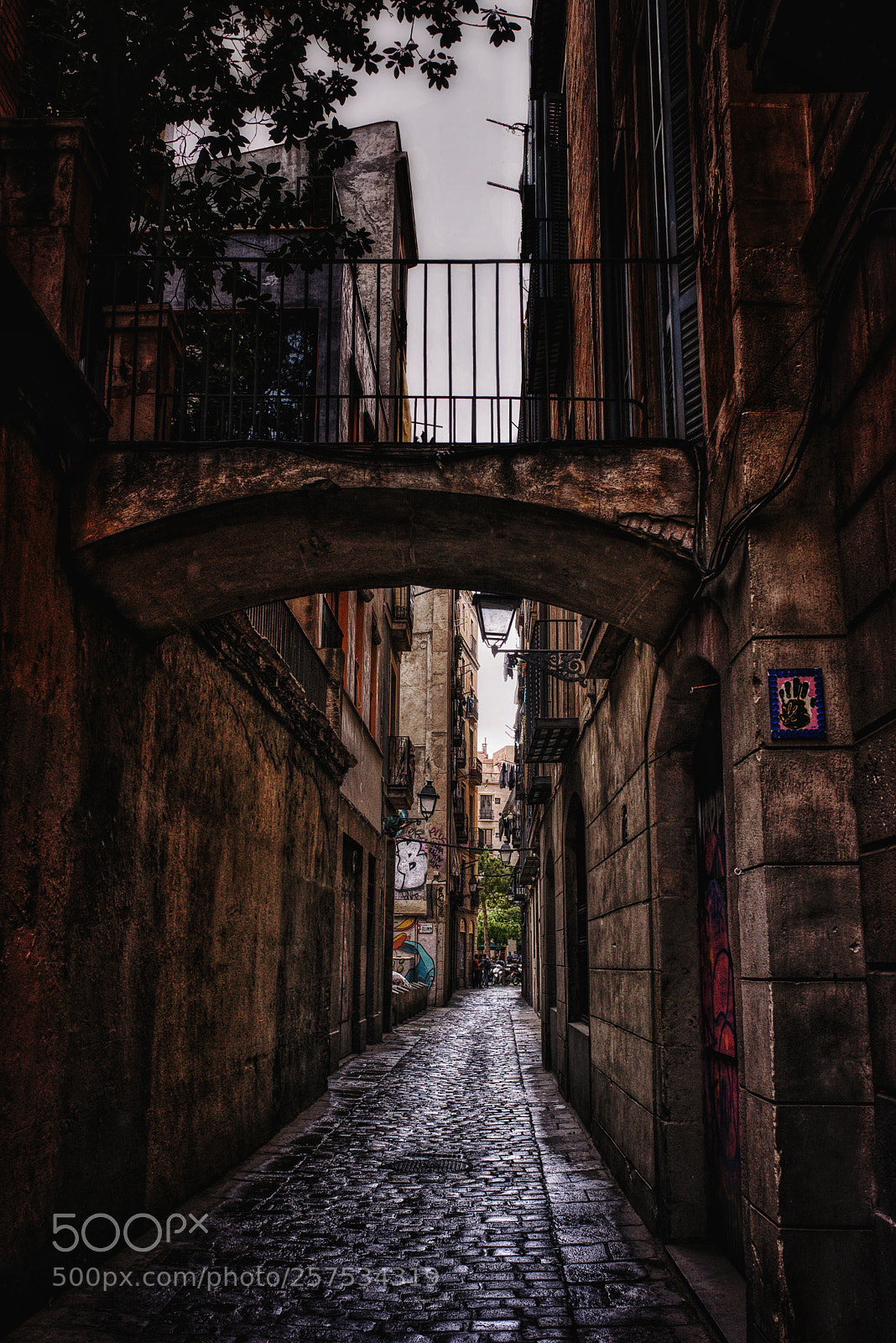 Nikon D750 sample photo. In the heart of photography