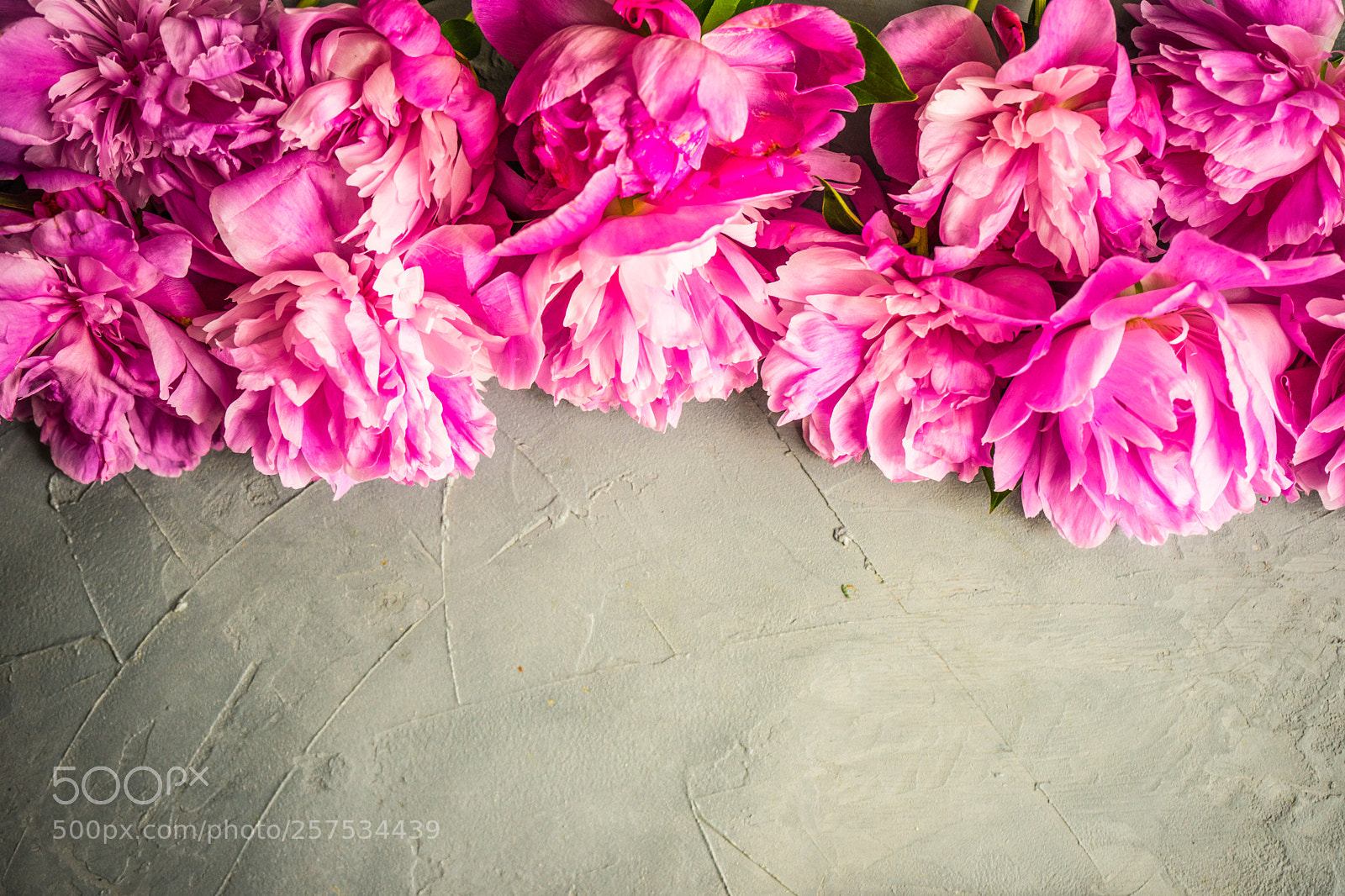 Sony a7 sample photo. Summer flowers concept with photography
