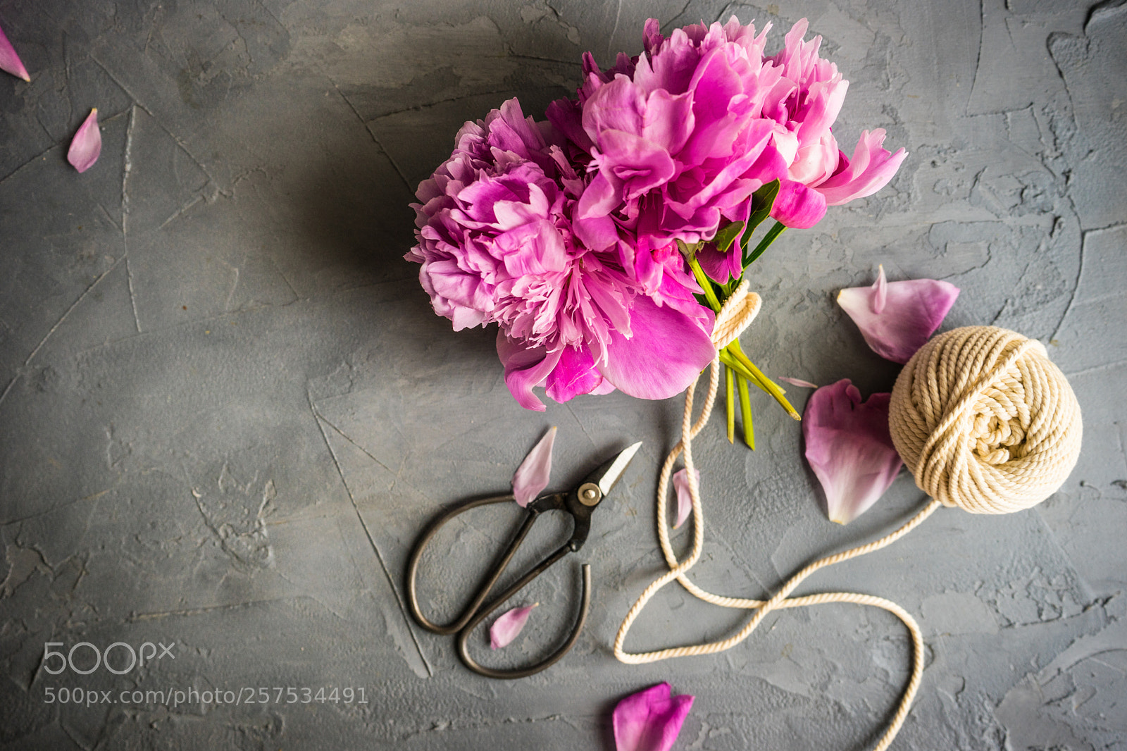 Sony a7 sample photo. Summer flowers concept with photography