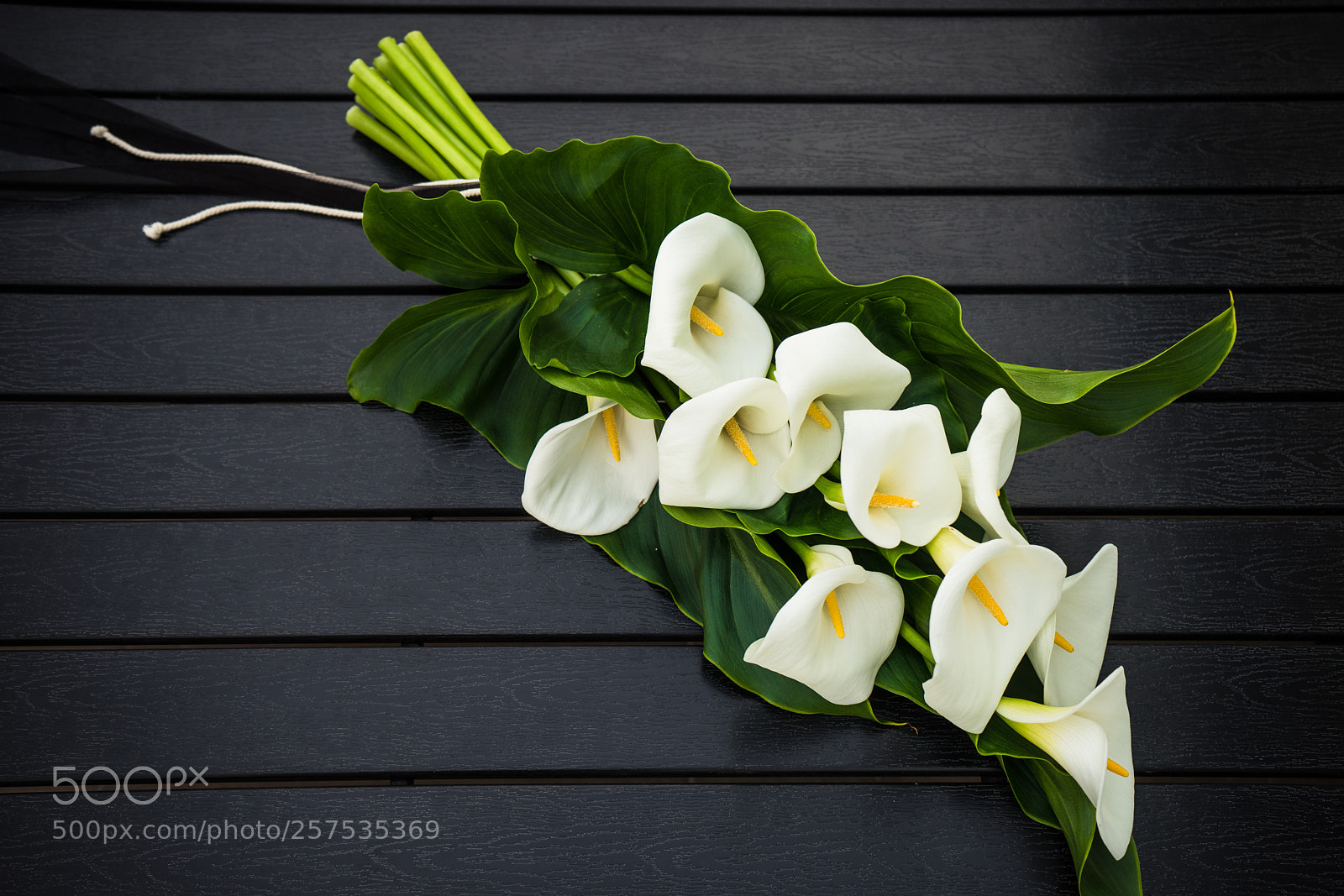 Sony a7 sample photo. White calla lillies in photography