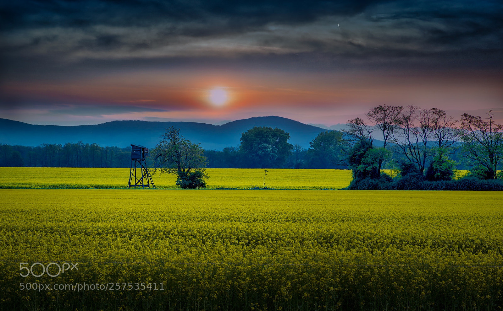 Nikon D750 sample photo. Sunset photography