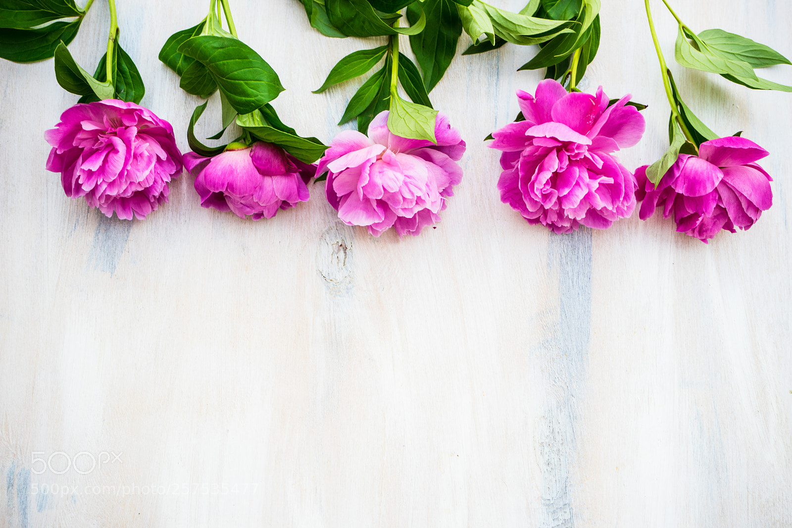 Sony a7 sample photo. Summer flowers concept with photography
