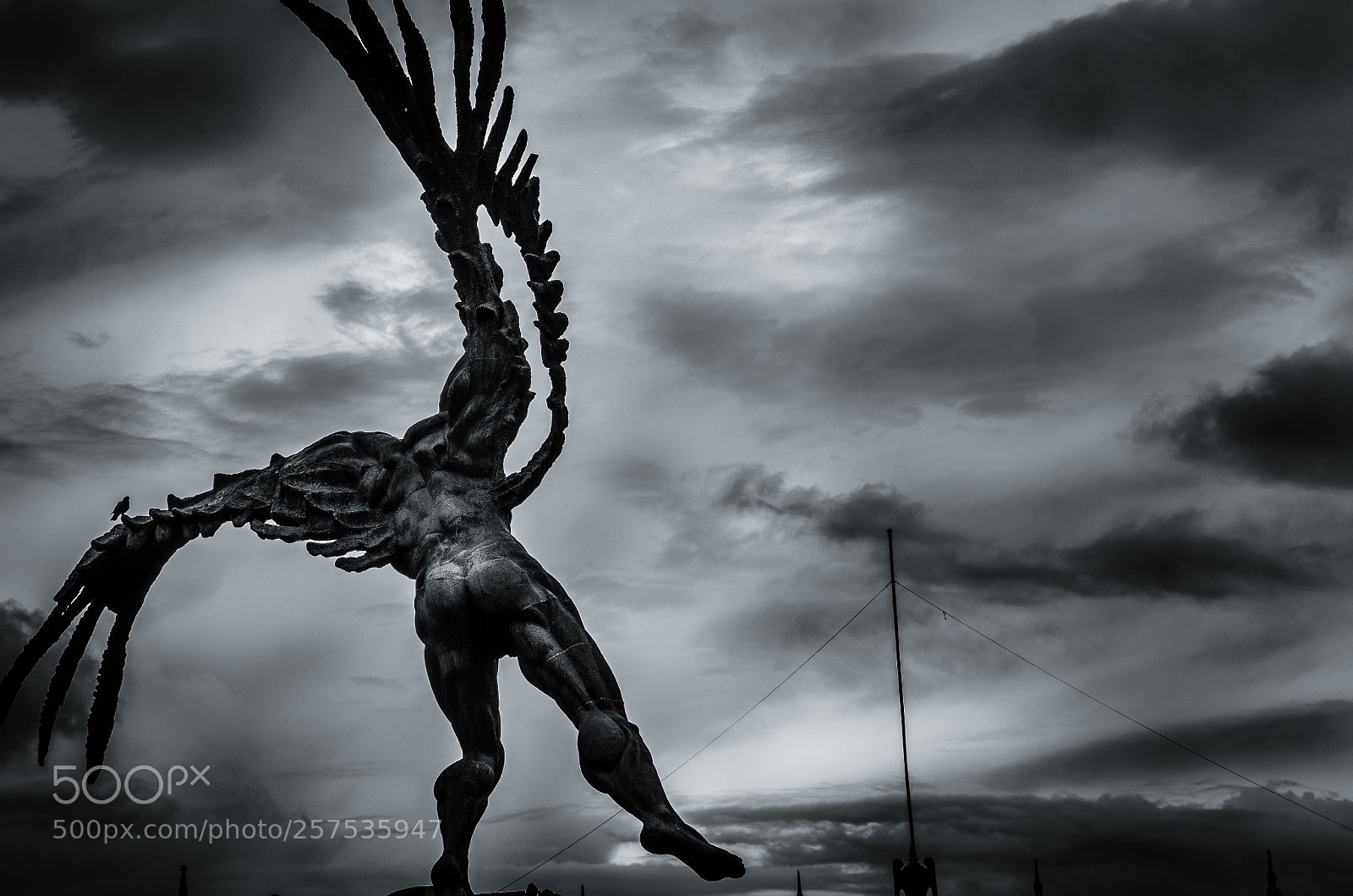 Nikon D7200 sample photo. Broken wings photography