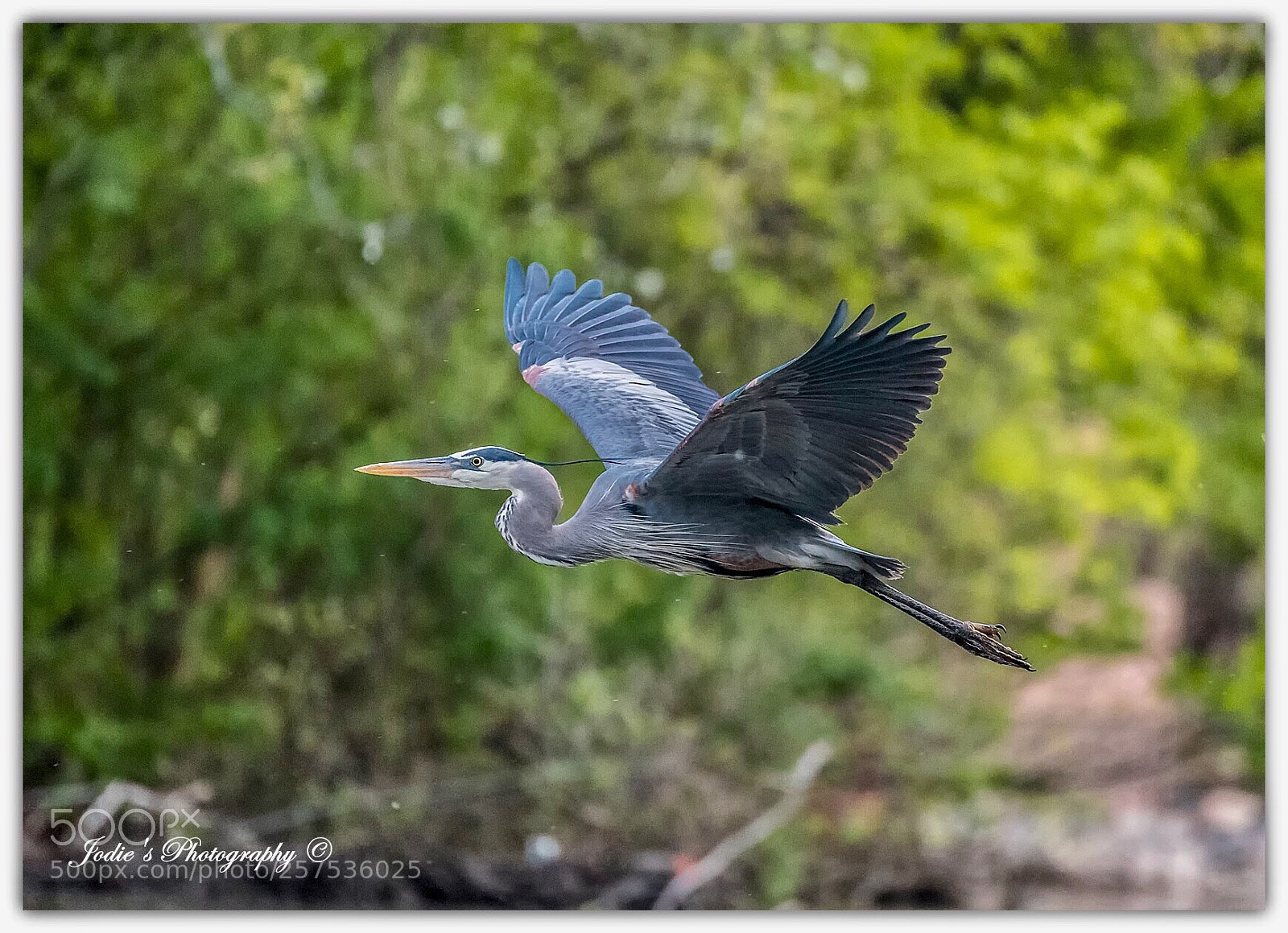 Nikon D750 sample photo. Untitled photography