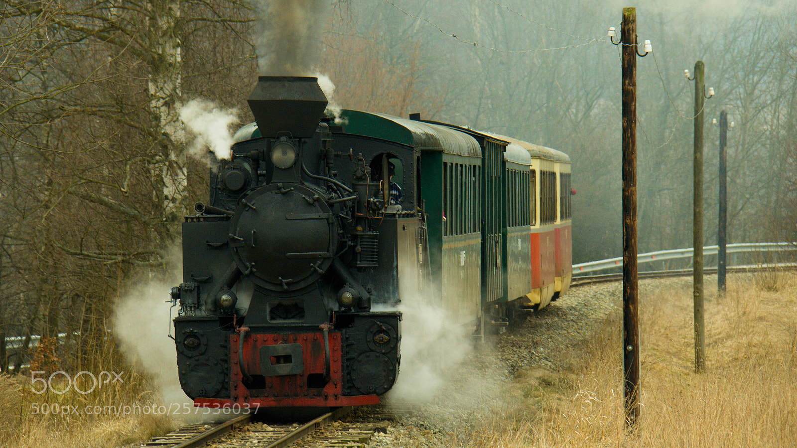 Nikon D7000 sample photo. The charm of old photography