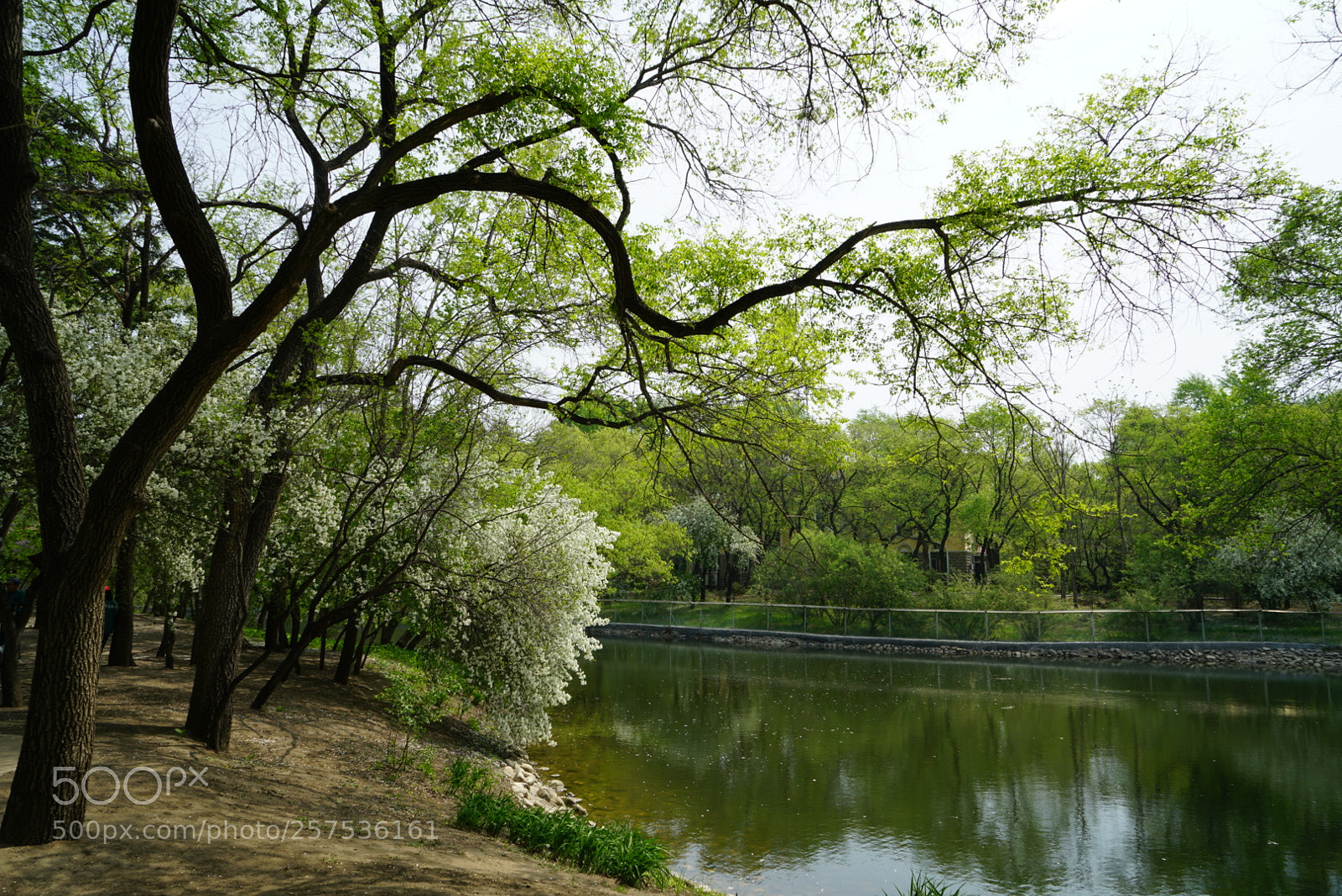 Sony a7R II sample photo. 湖 photography