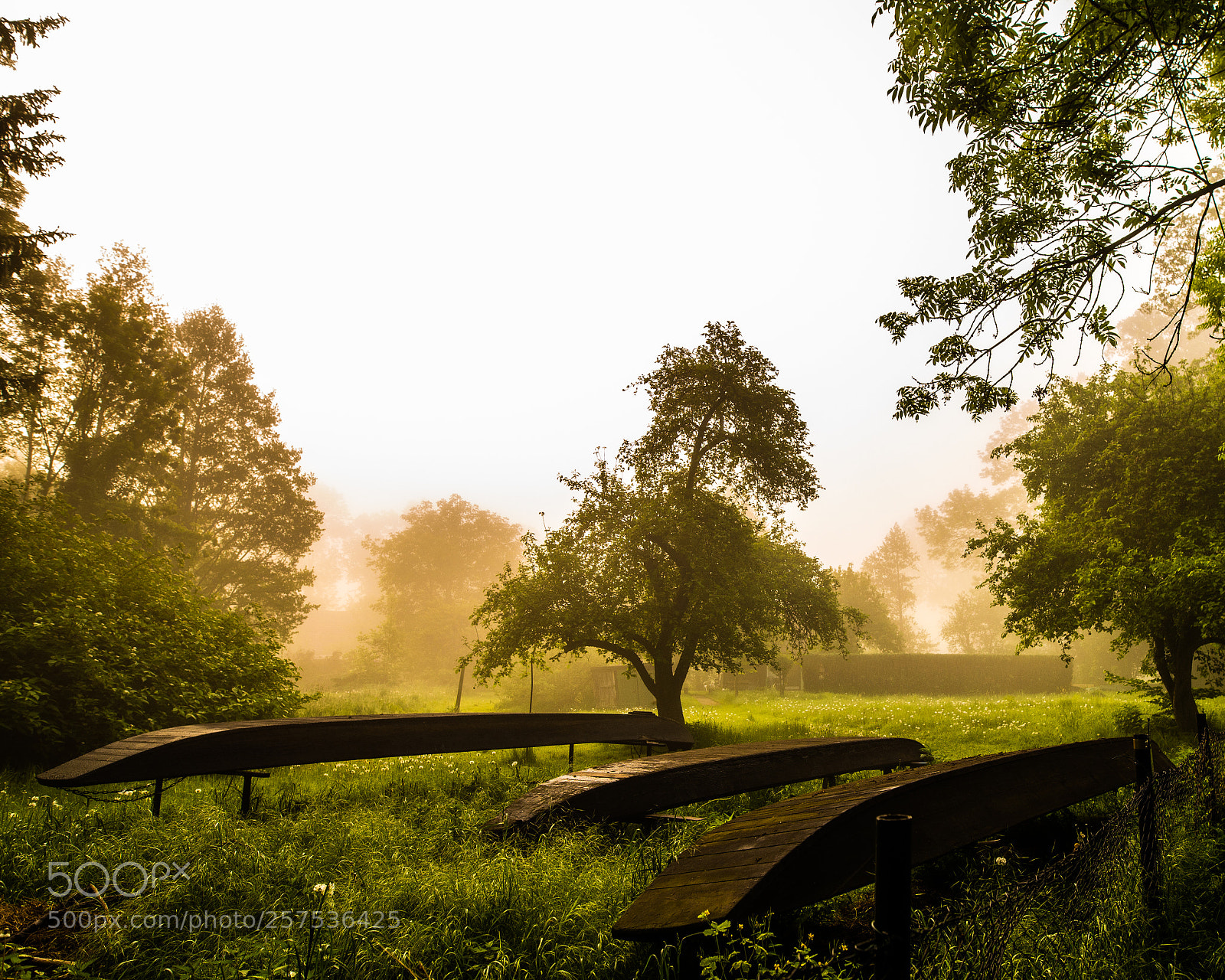 Nikon D610 sample photo. Spreewald photography