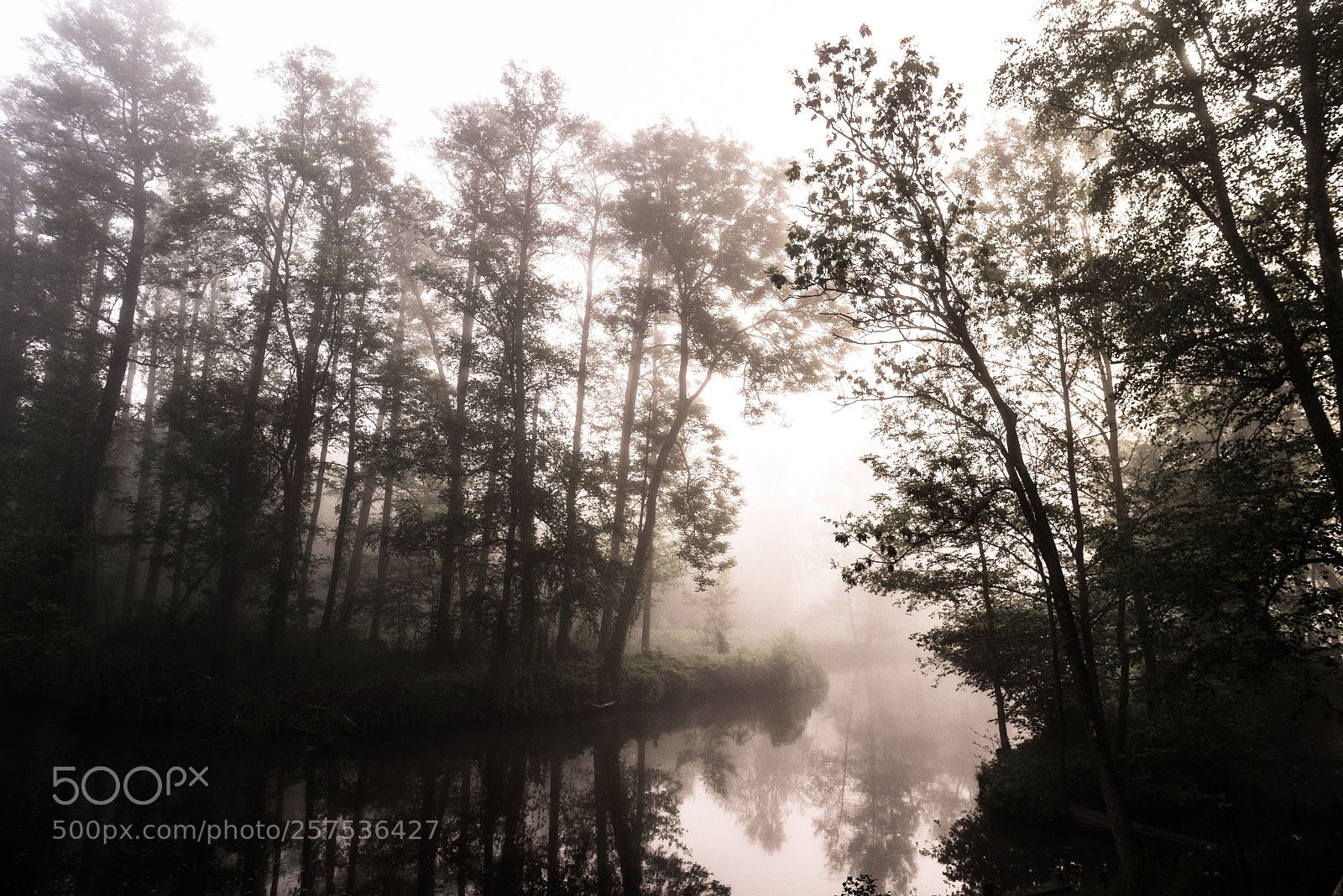 Nikon D610 sample photo. Spreewald photography