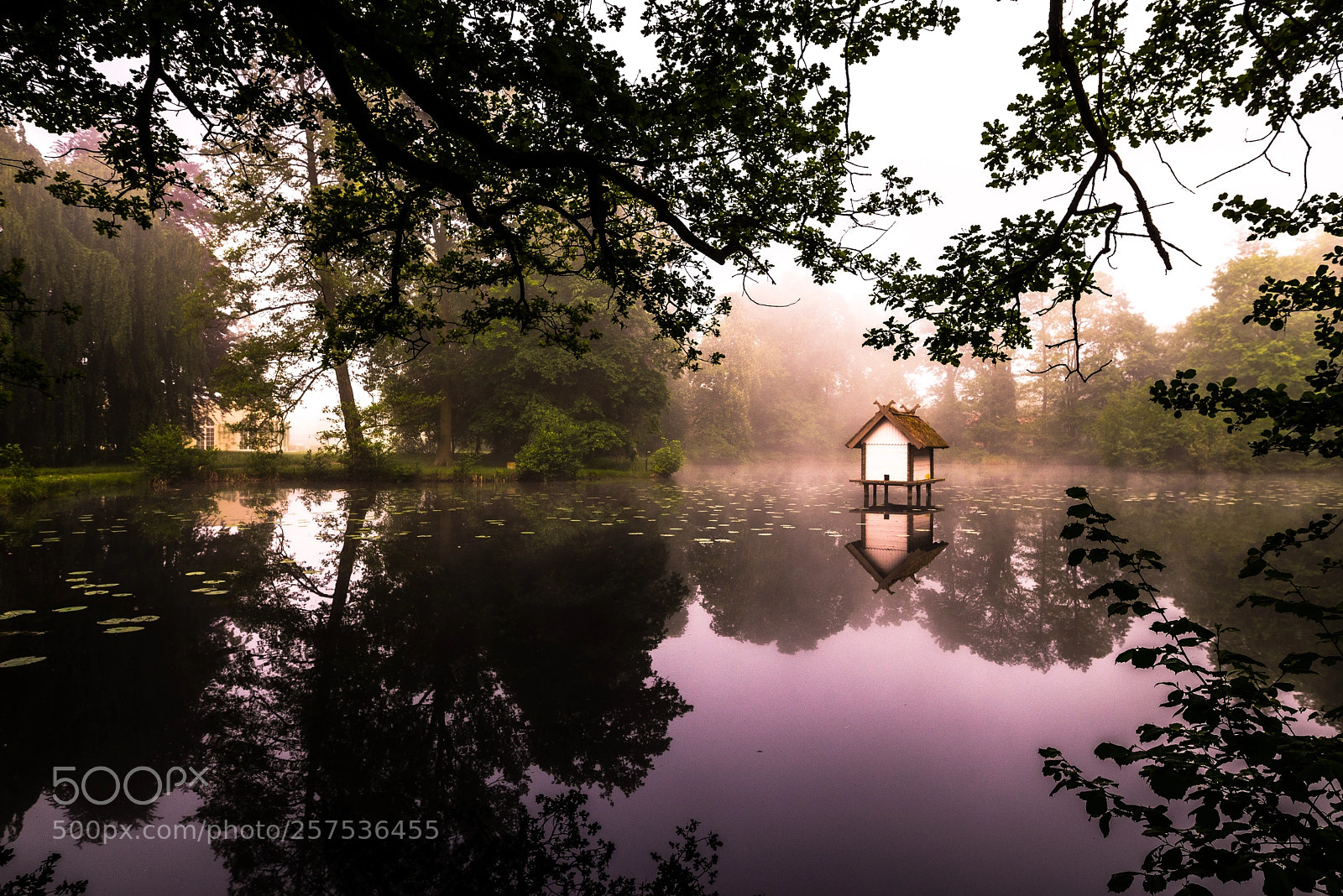 Nikon D610 sample photo. Spreewald photography