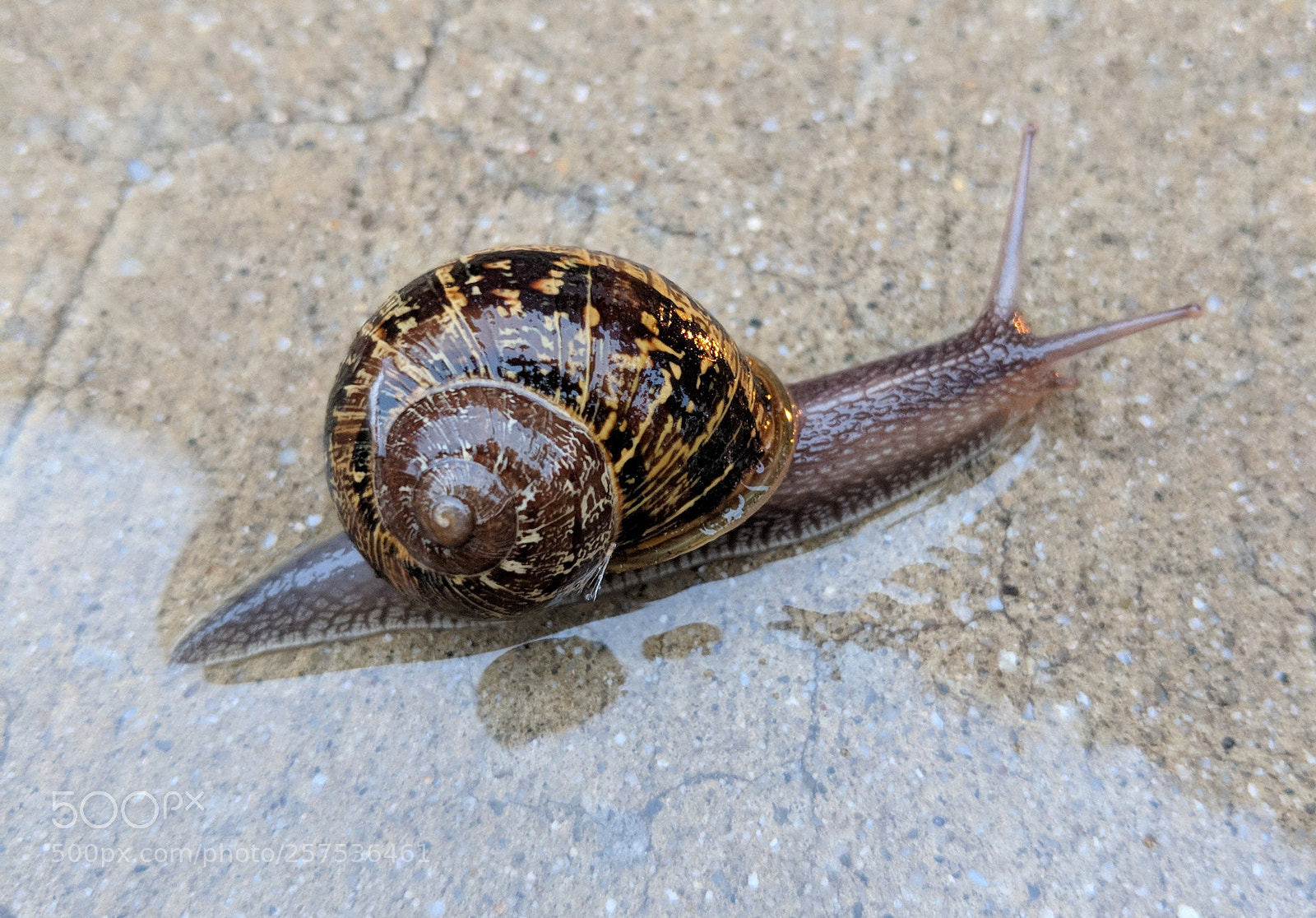 Google Pixel 2 XL sample photo. Untitled photography
