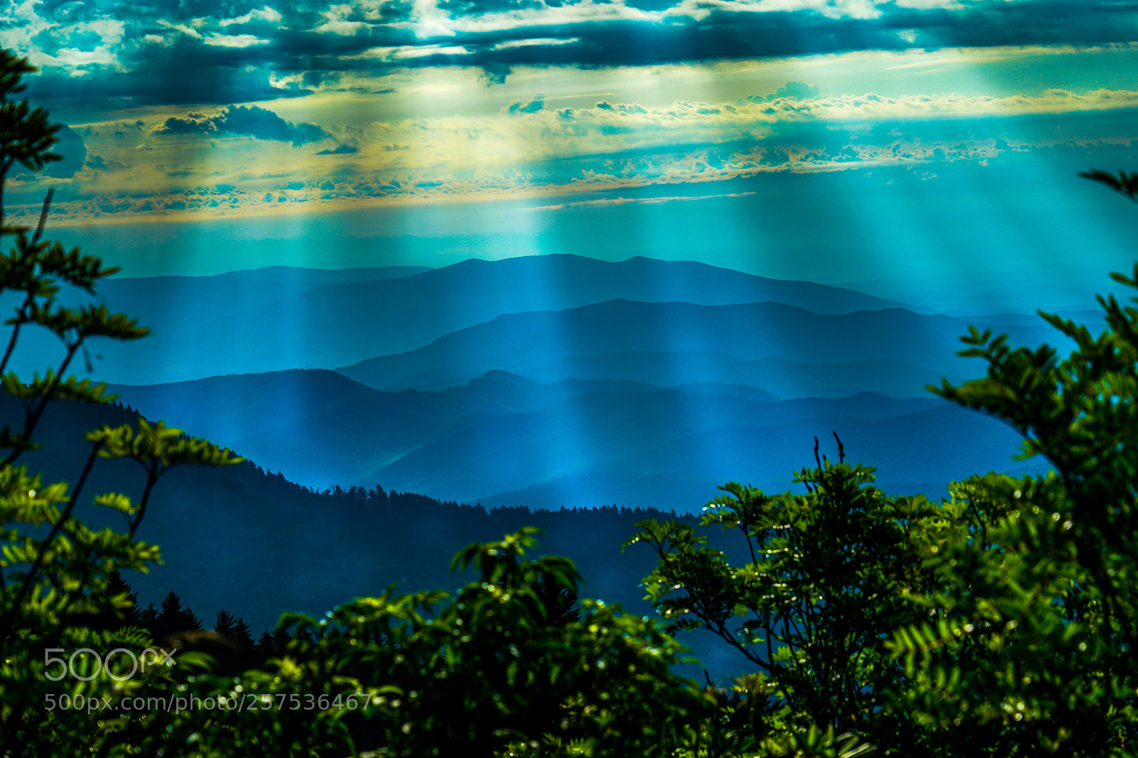 Sony a7R II sample photo. Sunrise at mt mitchel photography