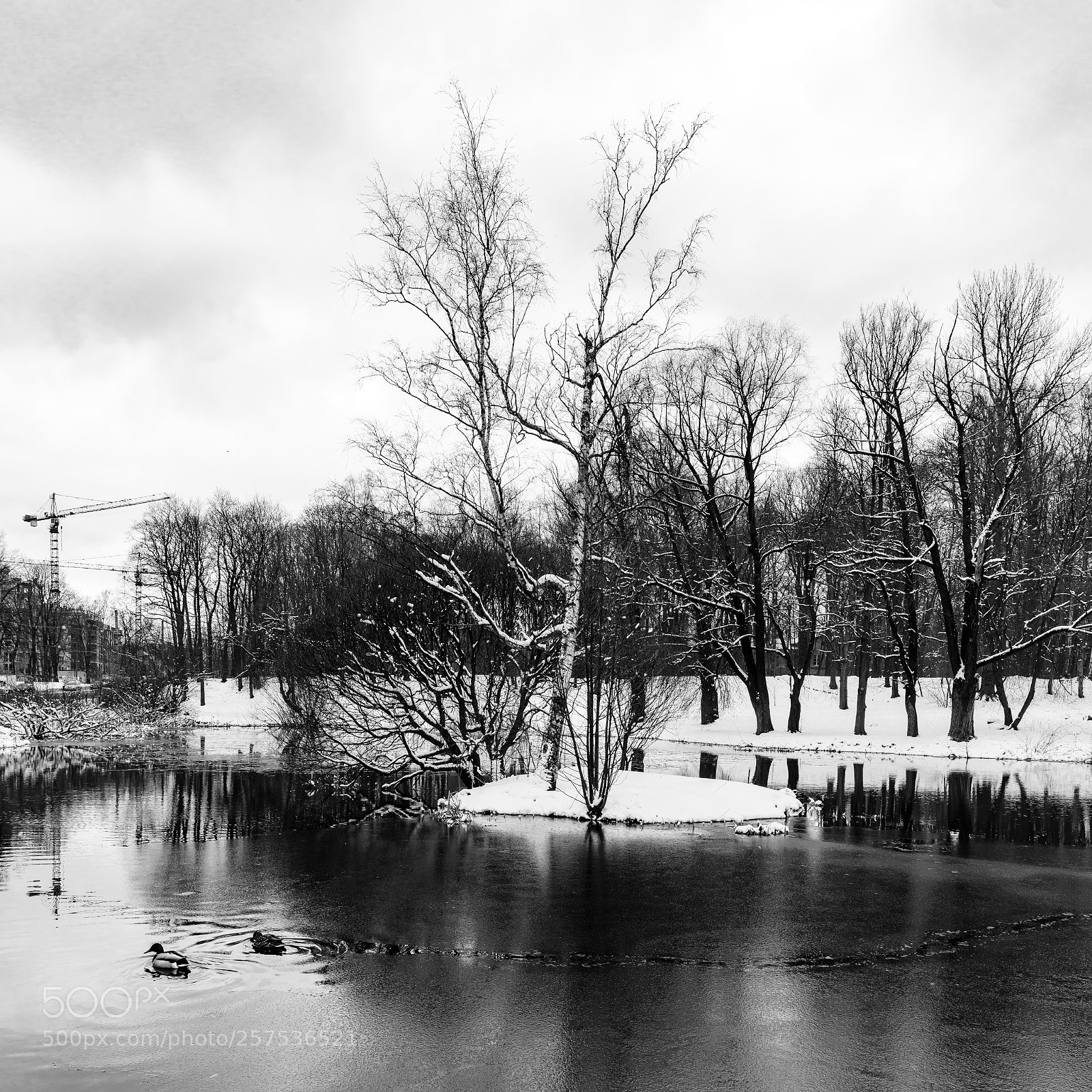 Sony a7R II sample photo. Pond. photography