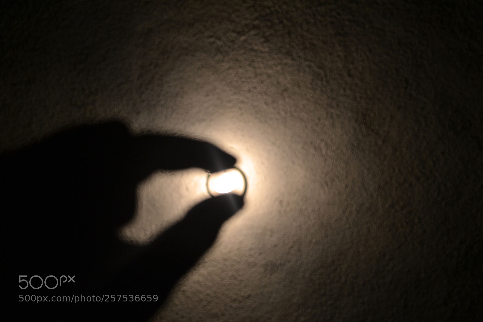 Nikon D3100 sample photo. Perspectiva forzada photography