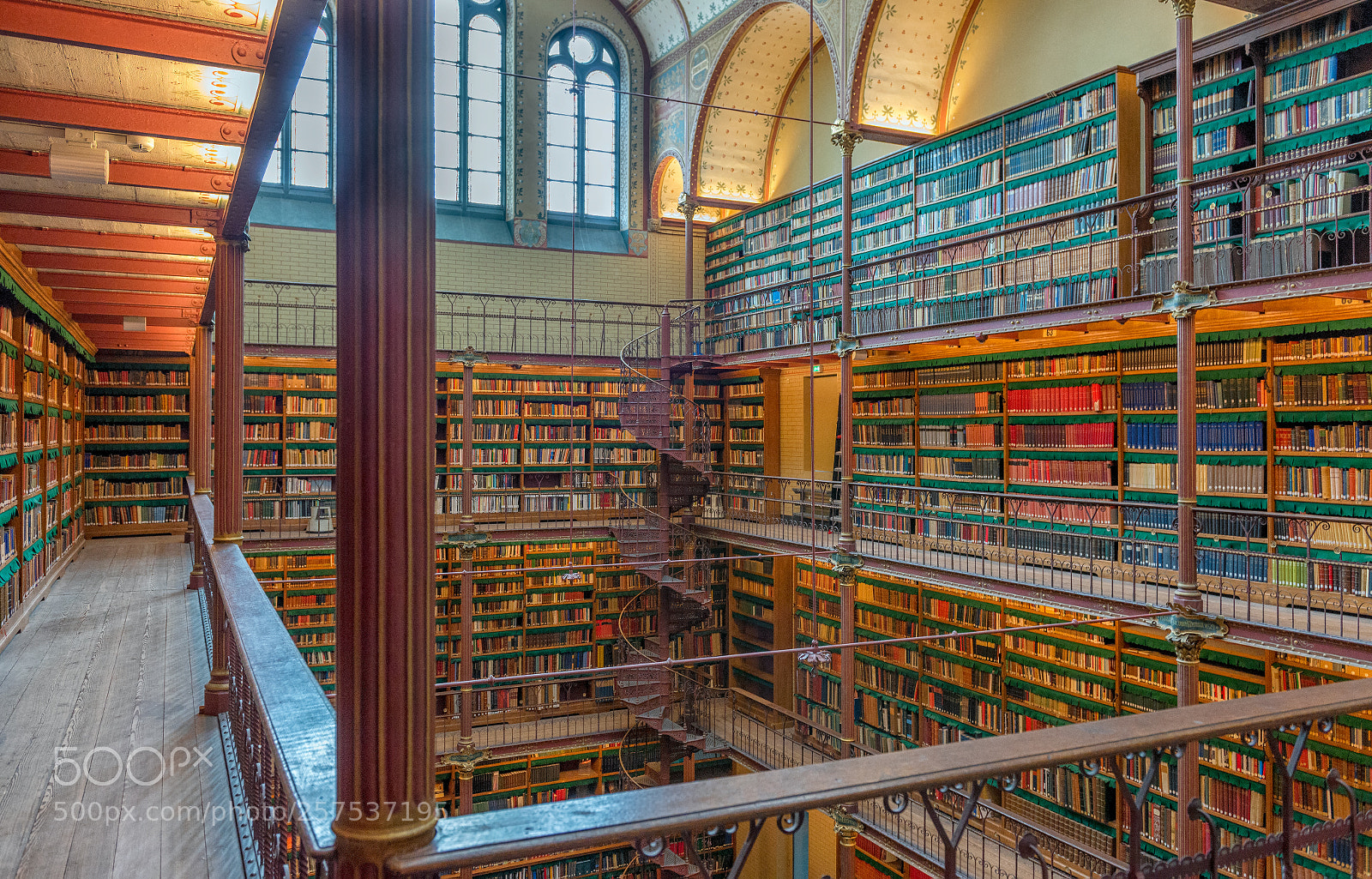 Nikon D610 sample photo. Cuypers library photography